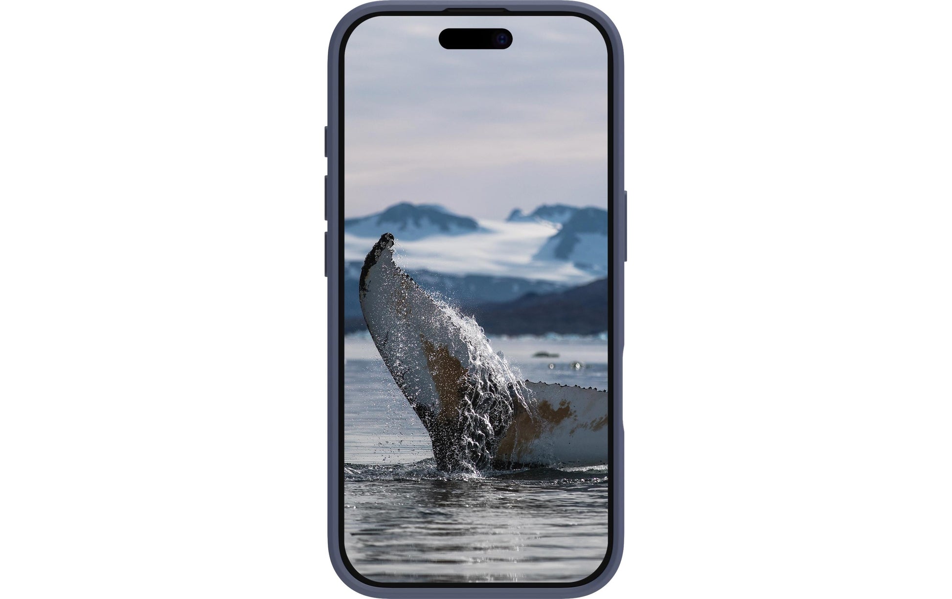 dbramante1928 Greenland – Backcover – für Apple iPhone 16 Pro Max, Kunststoff, Pacific Blue