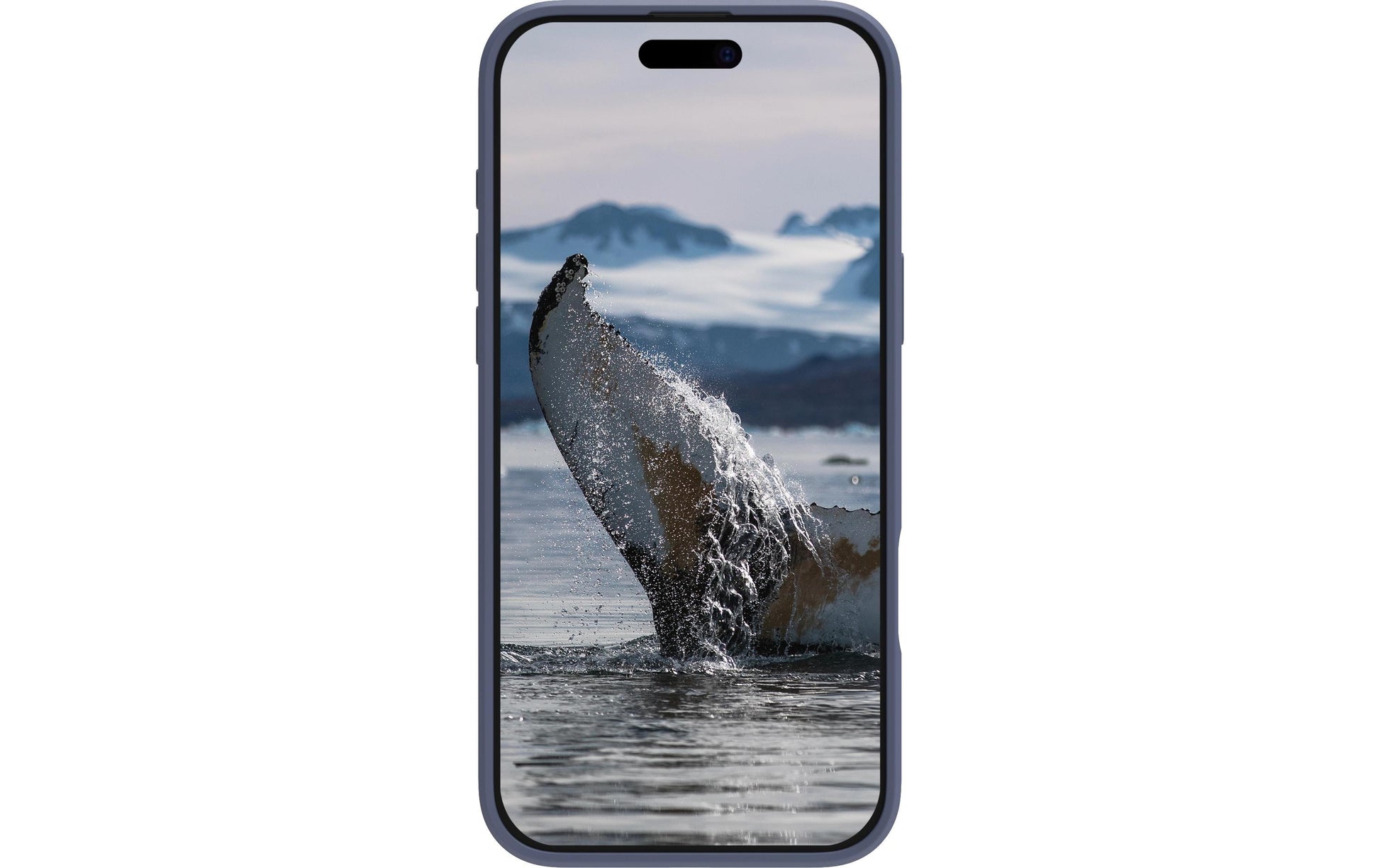 dbramante1928 Greenland Pro MS Backcover – für Apple iPhone 16 Pro, Kunststoff, Pacific Blue