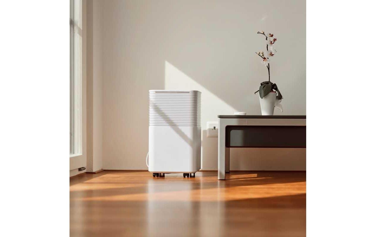 Ecofort Luftentfeuchter ecoQ DryAir 12L – 12 L/24 h, bis 30 m², Tank 2 L, Hygrostat