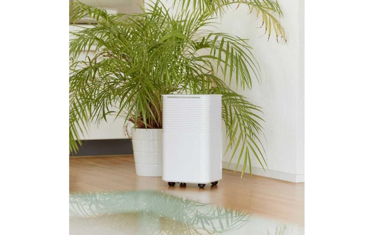 Ecofort Luftentfeuchter ecoQ DryAir 12L – 12 L/24 h, bis 30 m², Tank 2 L, Hygrostat