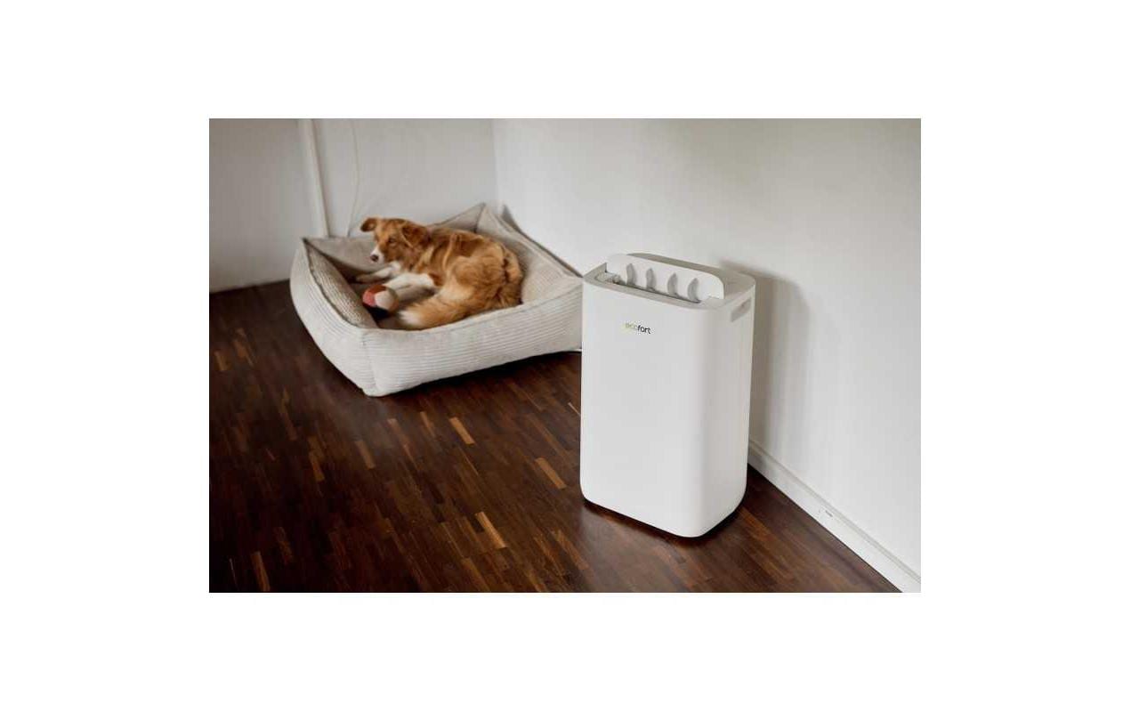 Ecofort Luftentfeuchter ecoQ 20L – 20 L/24 h, bis 50 m², Tank 4,5 l, Hygrostat, WLAN, App-Steuerung