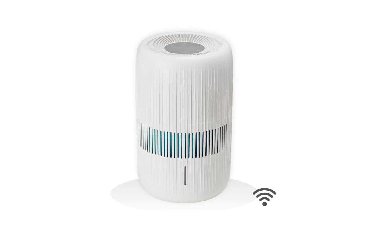 Ecofort ecoQ HumidAir E600+ Luftbefeuchter – Verdunster, 650 ml/h, 4 l Tank, bis 80 m², Hygrostat