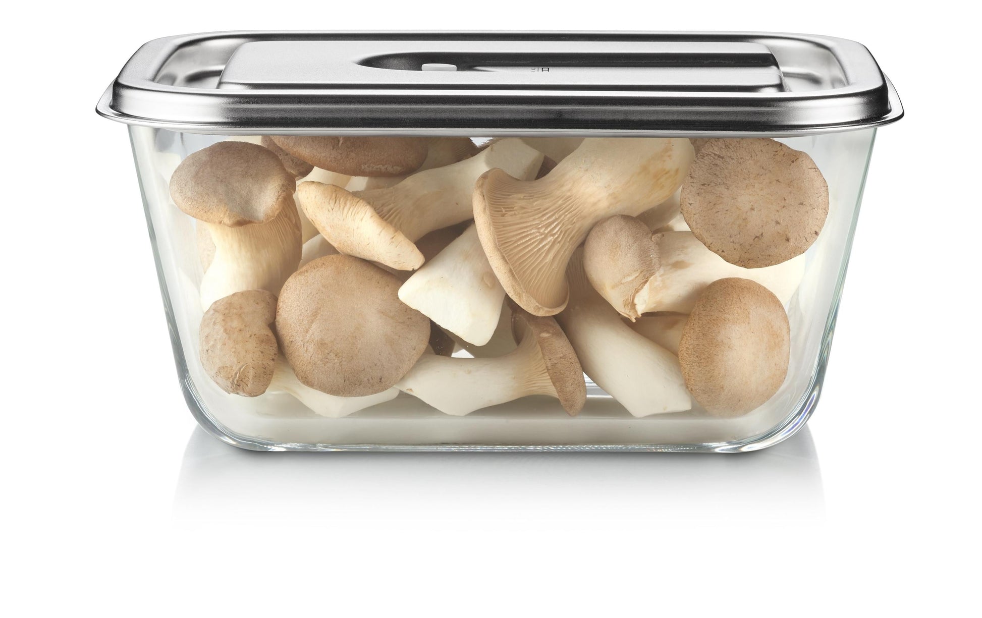 Caso Vakuumierbehälter Boxx Inox XL – 2,6 l, 25 × 18,5 × 12 cm, für Vakuumierer