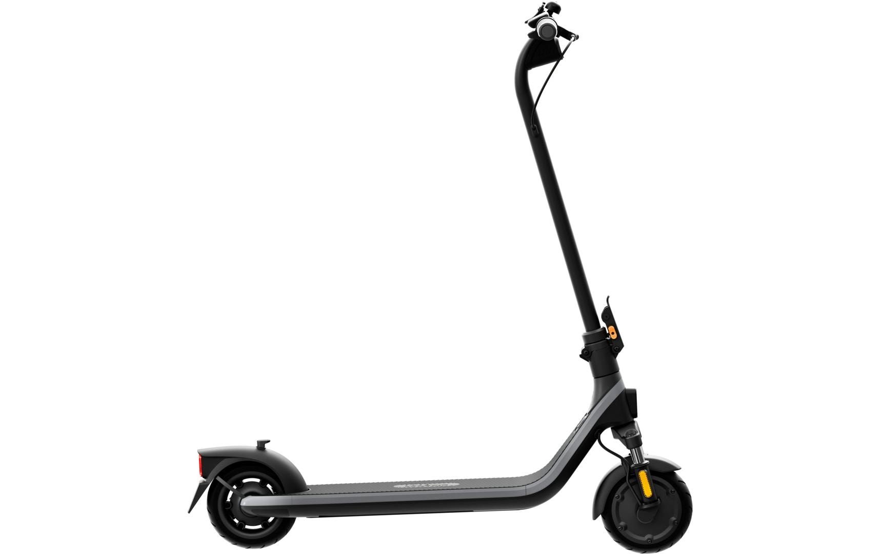 Ninebot by Segway E2 D II – E-Scooter, 25 km Reichweite, 20 km/h, 250 W, 220 Wh Akku, Faltbar, 16,2 kg, Grau