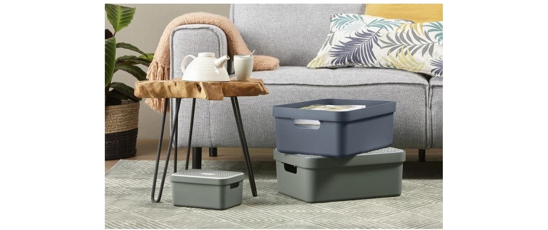 Sigma home Aufbewahrungsbox 5 l ohne Deckel – Kunststoff – Grün – 252 × 122 × 180 mm