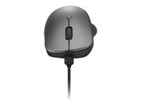 Lenovo Professionelle Maus – kabellos, Bluetooth, wiederaufladbar