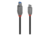 Lindy USB-Kabel, USB-C zu USB-B, 2 m, USB 3
