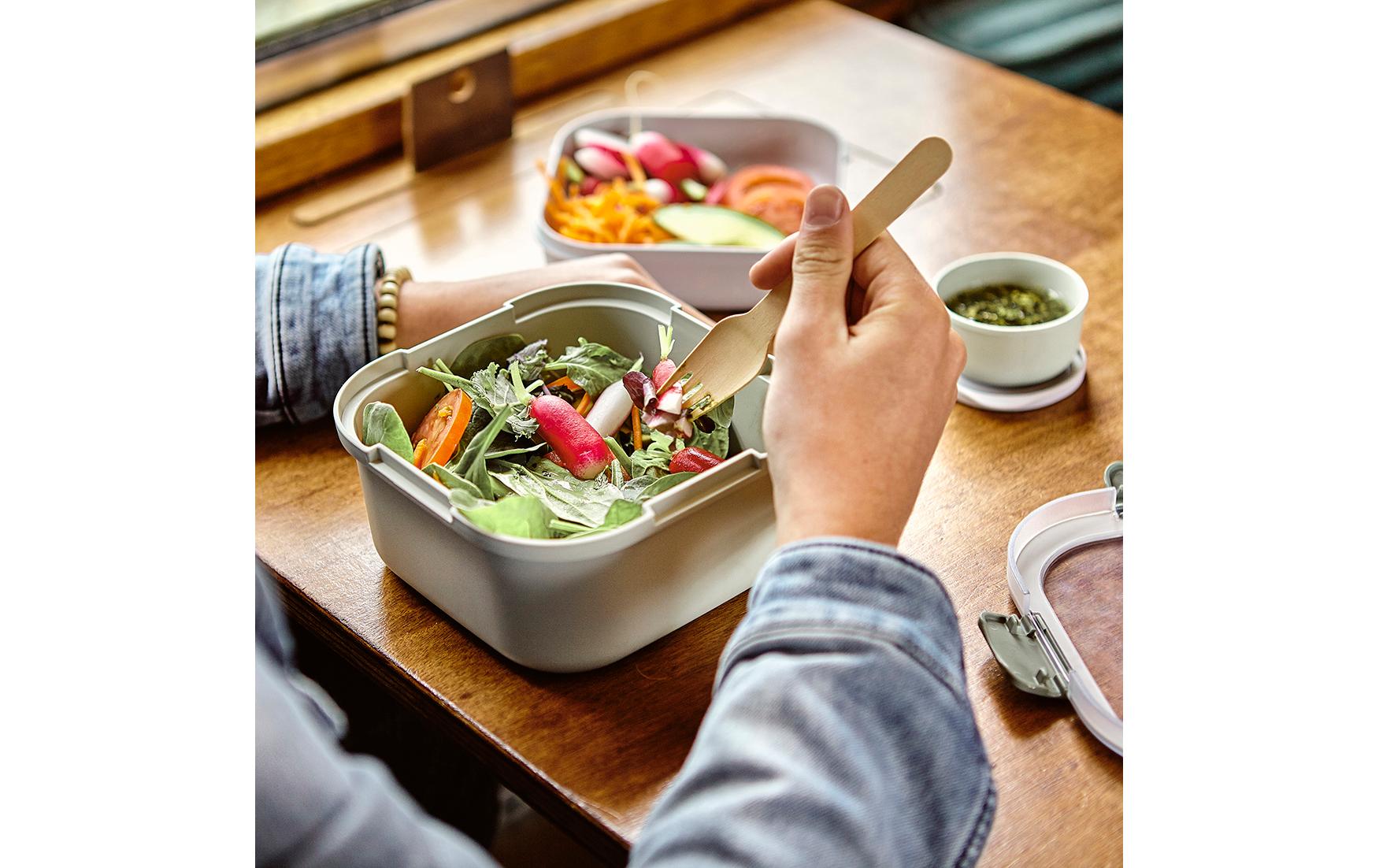 Sigma home Lunchbox 1,4 l, 17,7 × 17,7 × 8,7 cm, Kunststoff, grün
