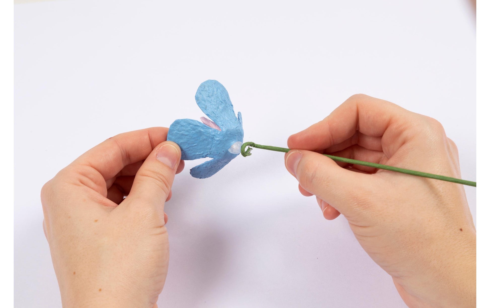 Creativ Company Bastelset – Eierkarton-Blumen – Karton – Mehrfarbig
