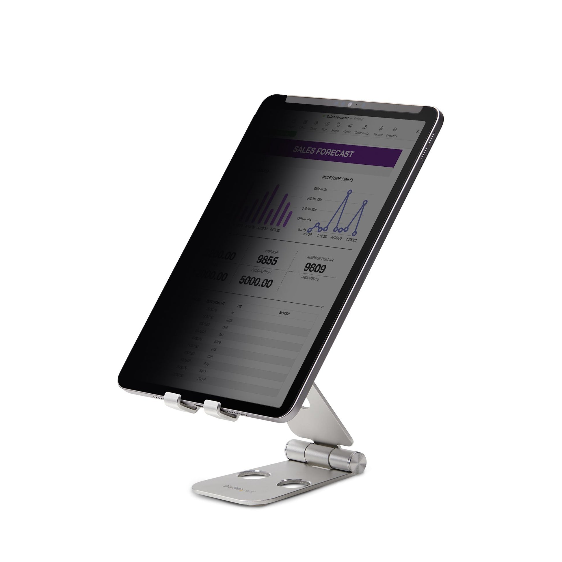 StarTech.com 11IP Sichtschutz-Zubehörtasche – für iPad Pro 11"
