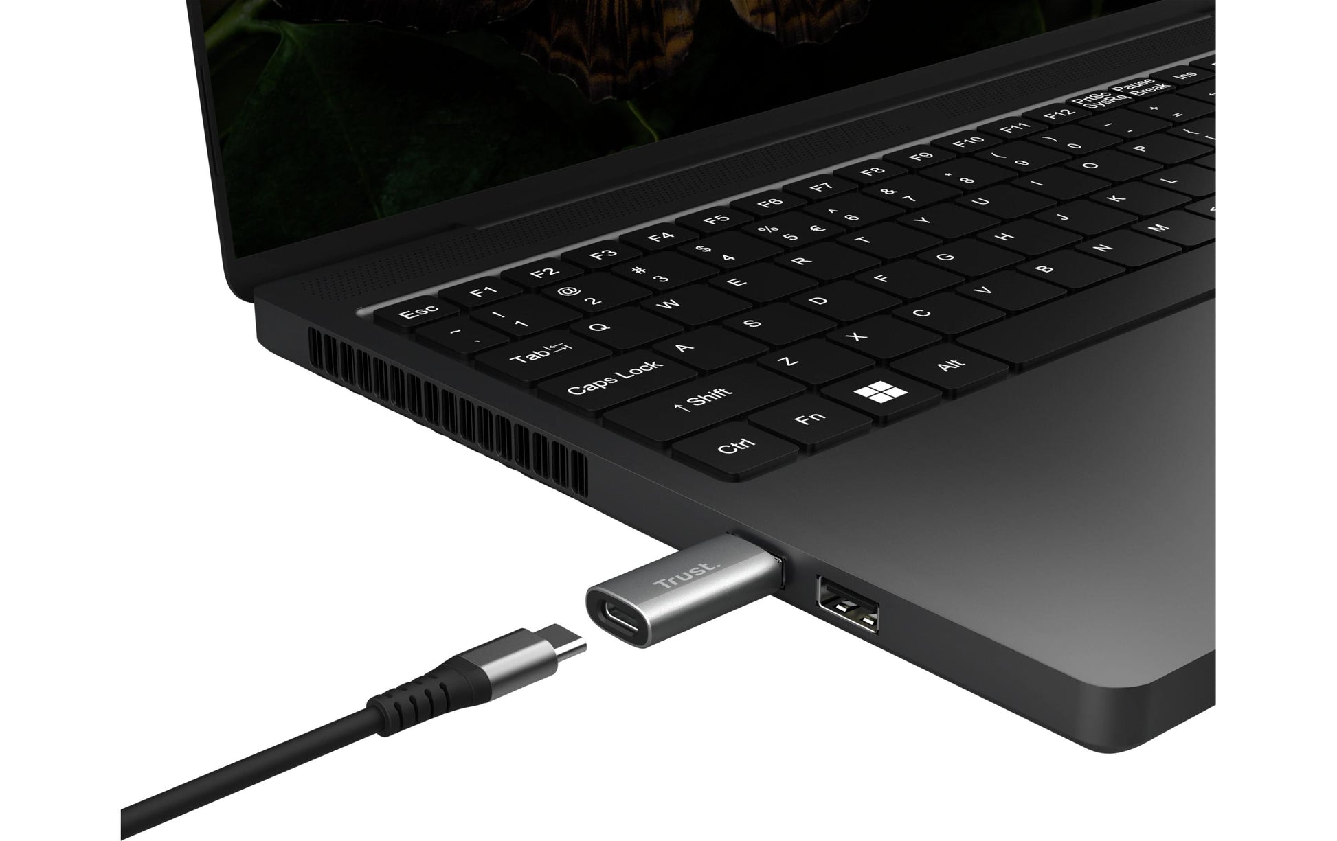 Trust Calyx Adapter USB-A zu USB-C – 2er-Pack, Plug & Play, USB 1.0/1.1 (12 Mbit/s), Grau