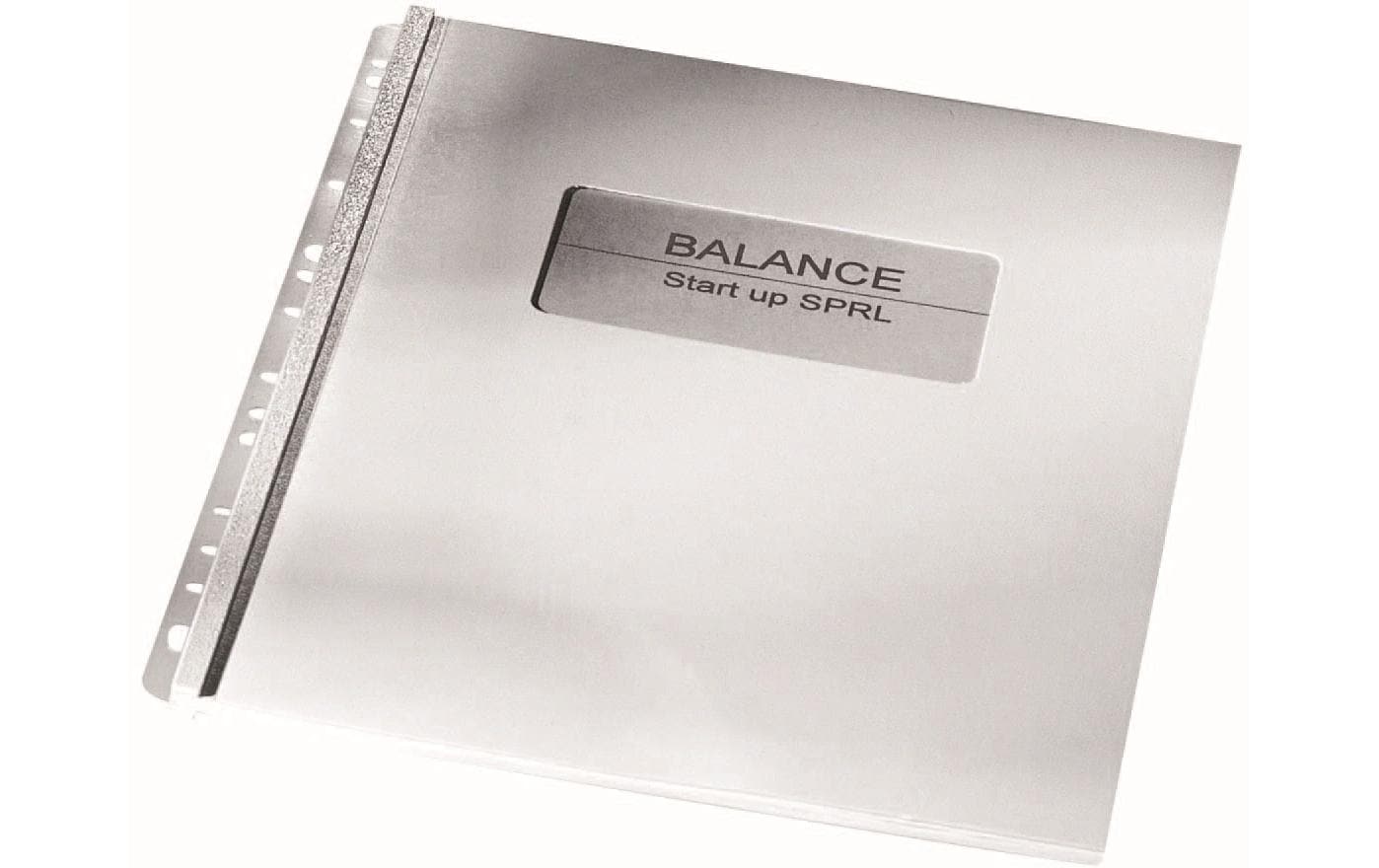 GBC FileStrips Buchrücken – A4 – PVC, 500 µm, weiss, für SureBind – 100 Stk.