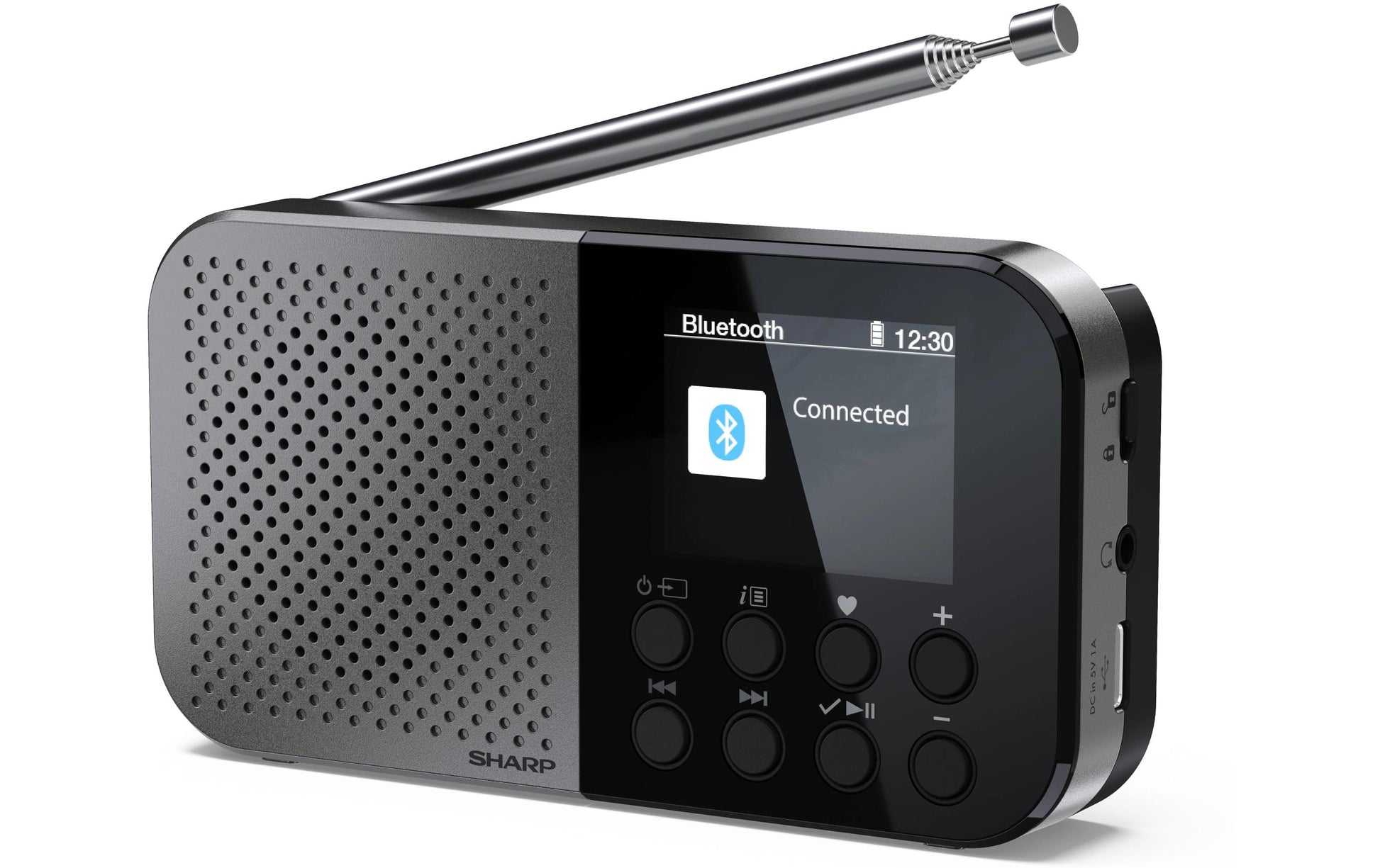 Sharp DR-P520 – DAB-/Internetradio – Portabel – DAB+, UKW, Bluetooth, 12 h – Grau