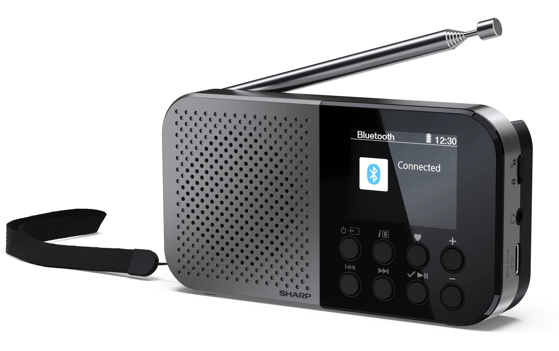 Sharp DR-P520 – DAB-/Internetradio – Portabel – DAB+, UKW, Bluetooth, 12 h – Grau