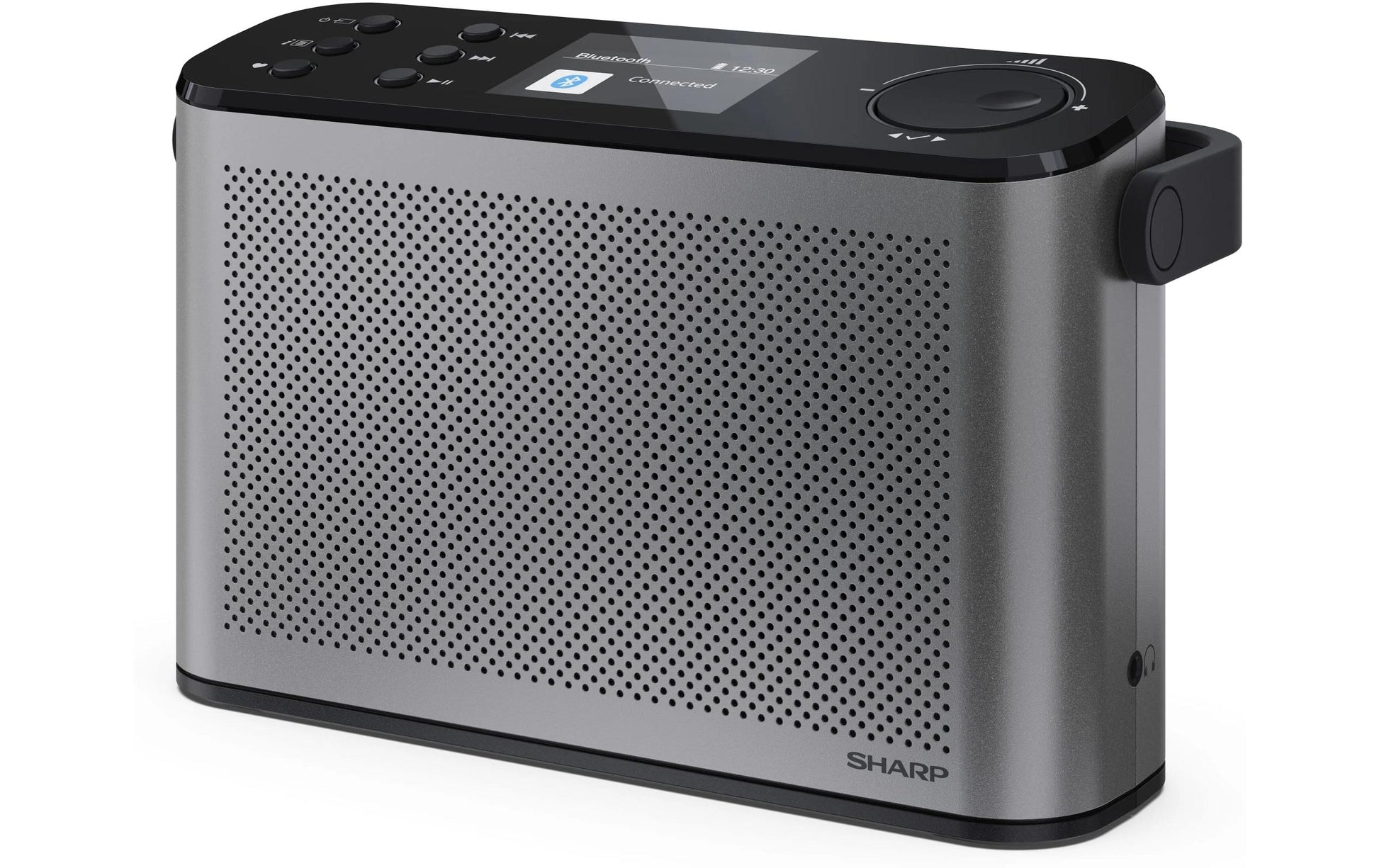 Sharp DR-P540 – Portables Radio, Grau