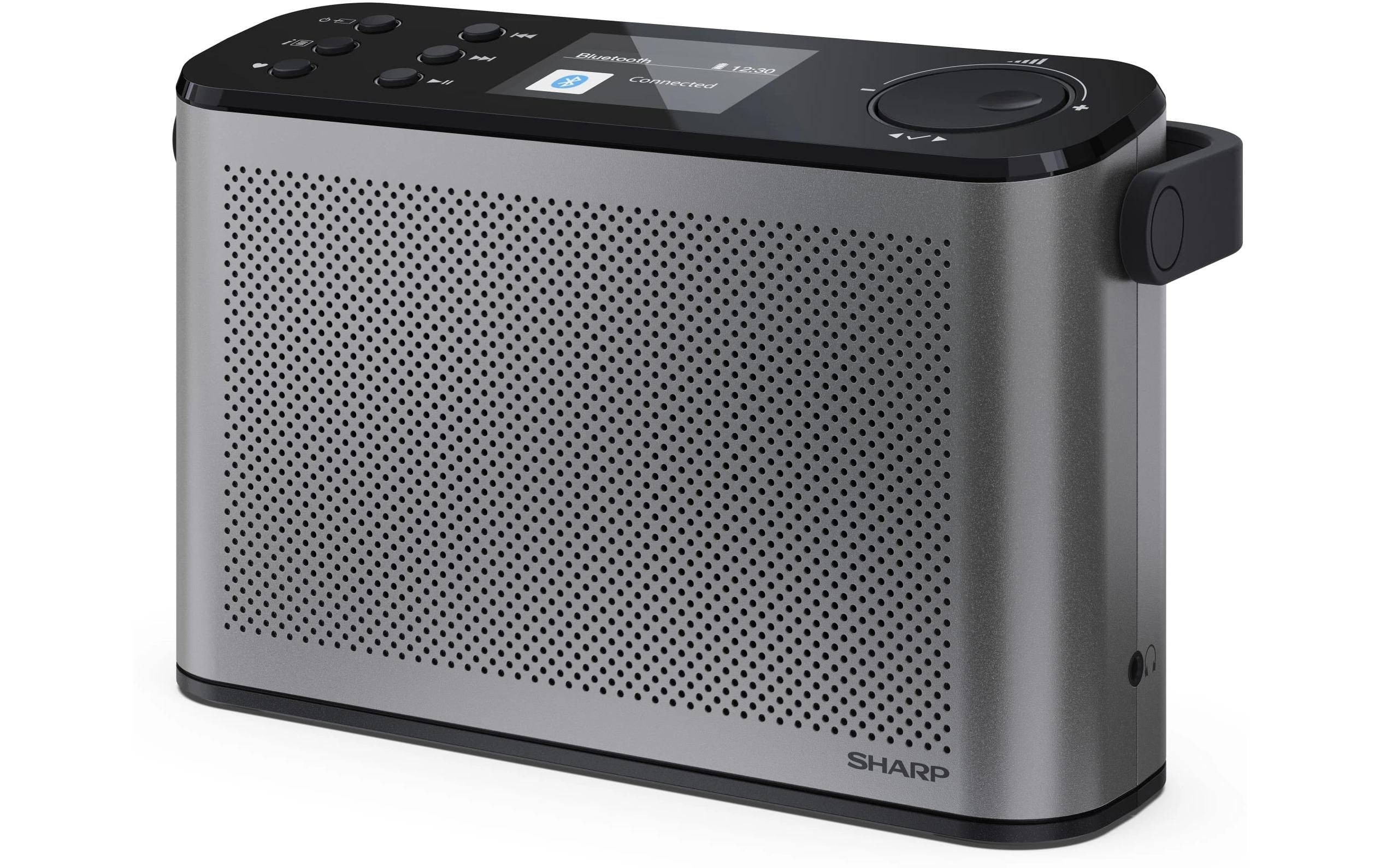 Sharp DR-P540 – Portables Radio, Grau