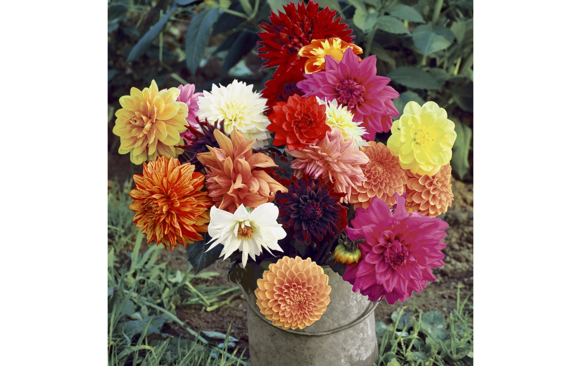 Paper + Design Servietten Floral Magic mehrfarbig – 33 × 33 cm, 3-lagig – 20 Stück