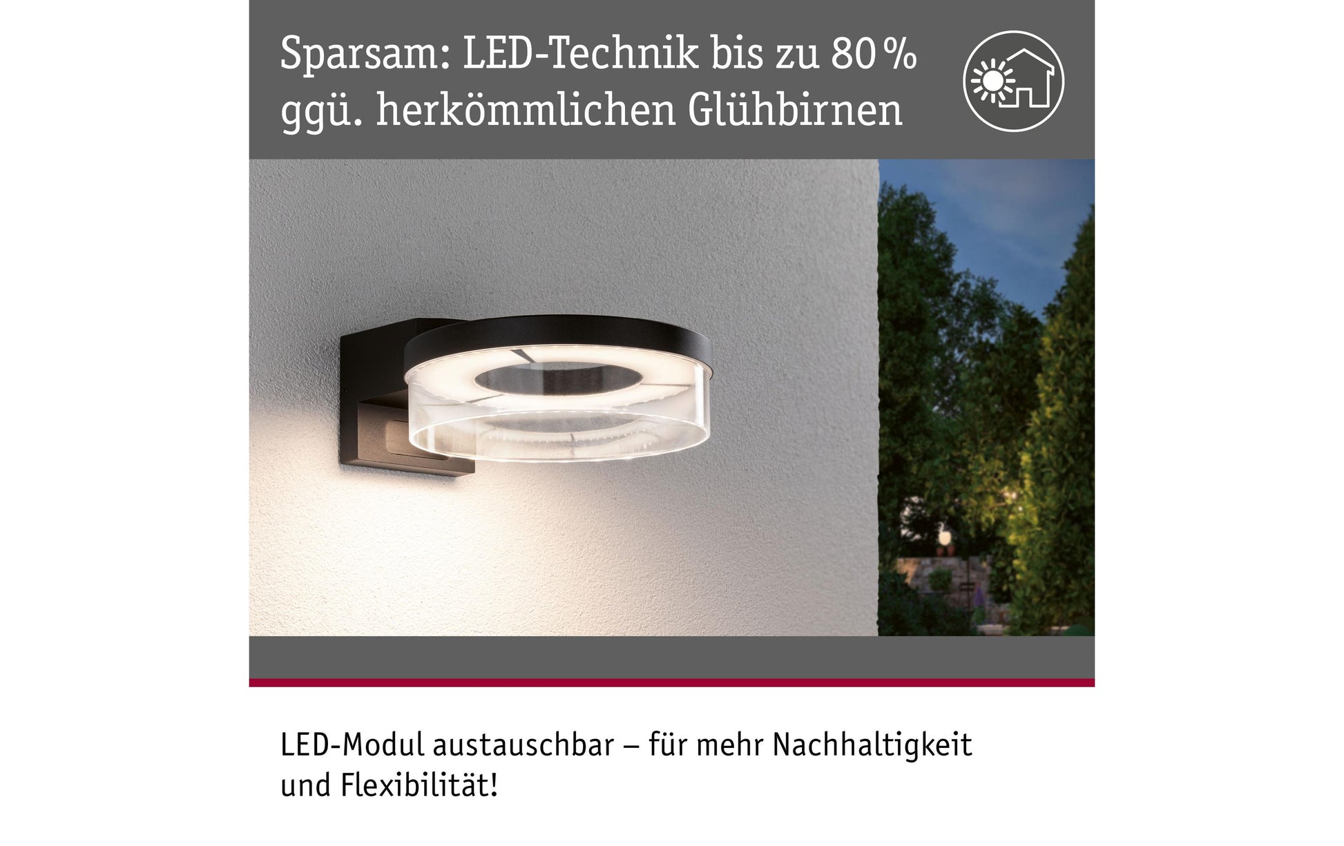 Paulmann Aussenwandleuchte – 3000 K – IP44 – Netzbetrieb – mit Bewegungsmelder – Anthrazit – Aluminium
