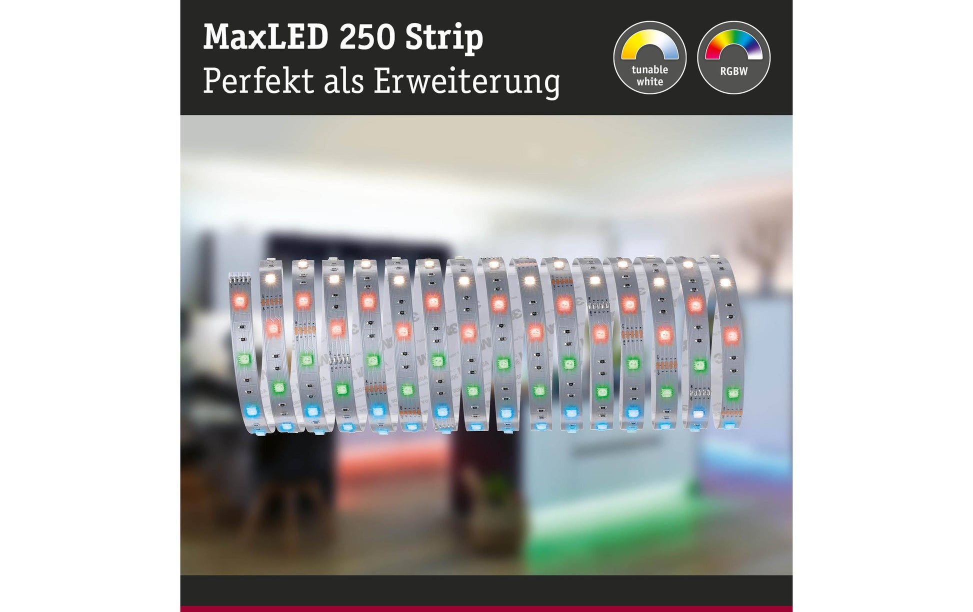 Paulmann LED-Strip MaxLED 250 – 5 m, 1350 lm, 31 W, RGBW, dimmbar, weiss