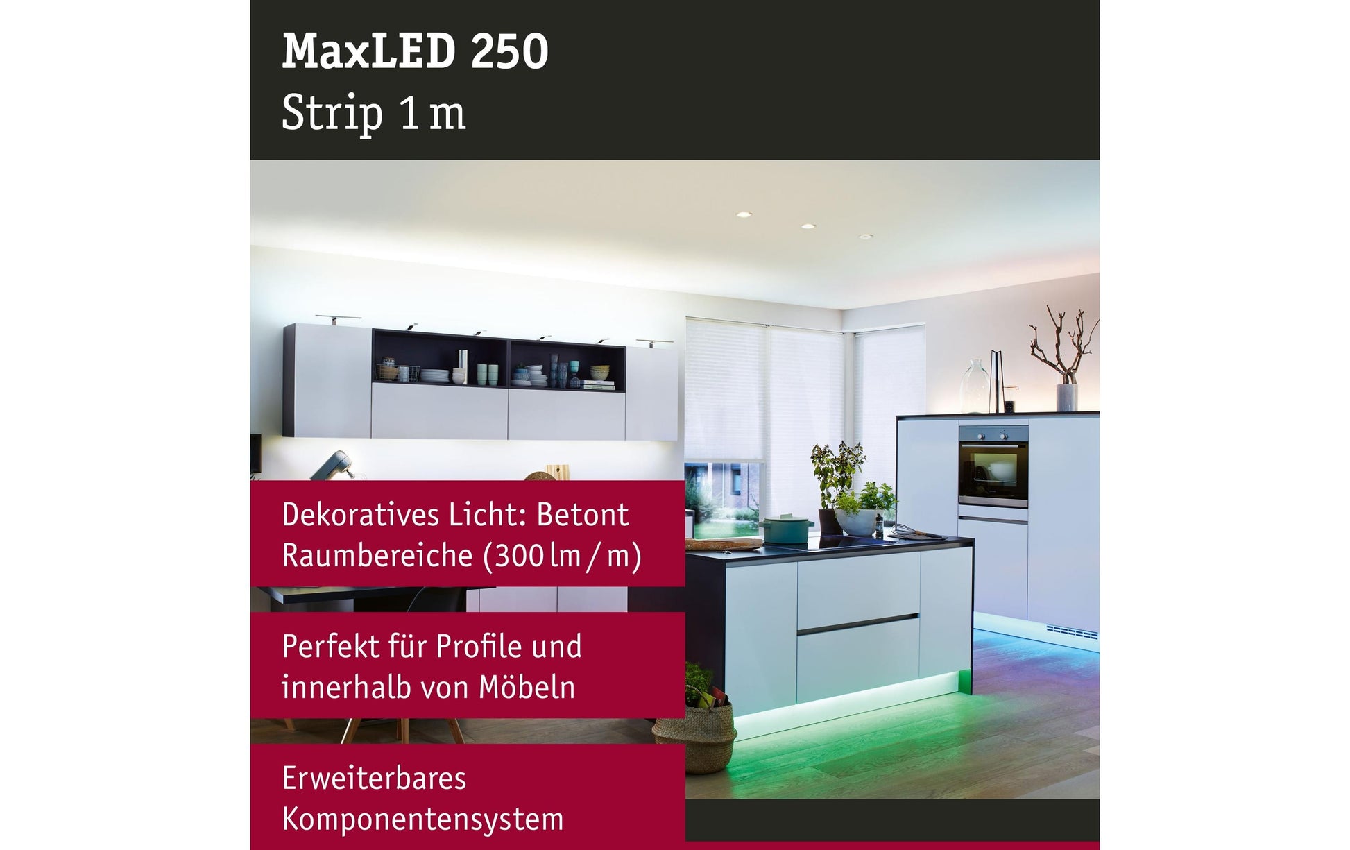 Paulmann LED-Strip 1 m – RGB, 270 lm, 6,5 W – IP20 – MaxLED 250 – 1 Stk.