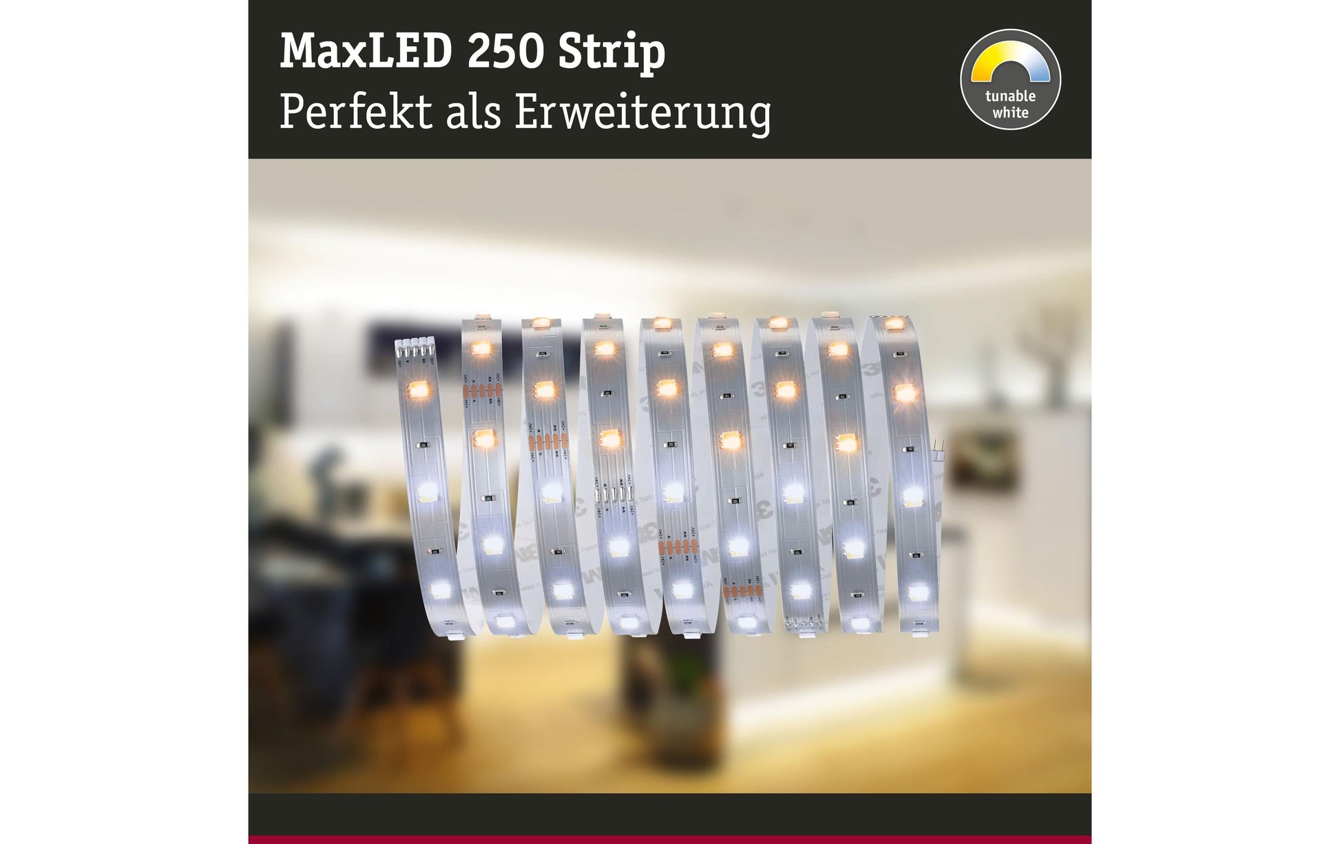 Paulmann LED-Strip MaxLED 250 – 2,5 m, 675 lm, 8,8 W, 2700–6500 K, dimmbar, weiss