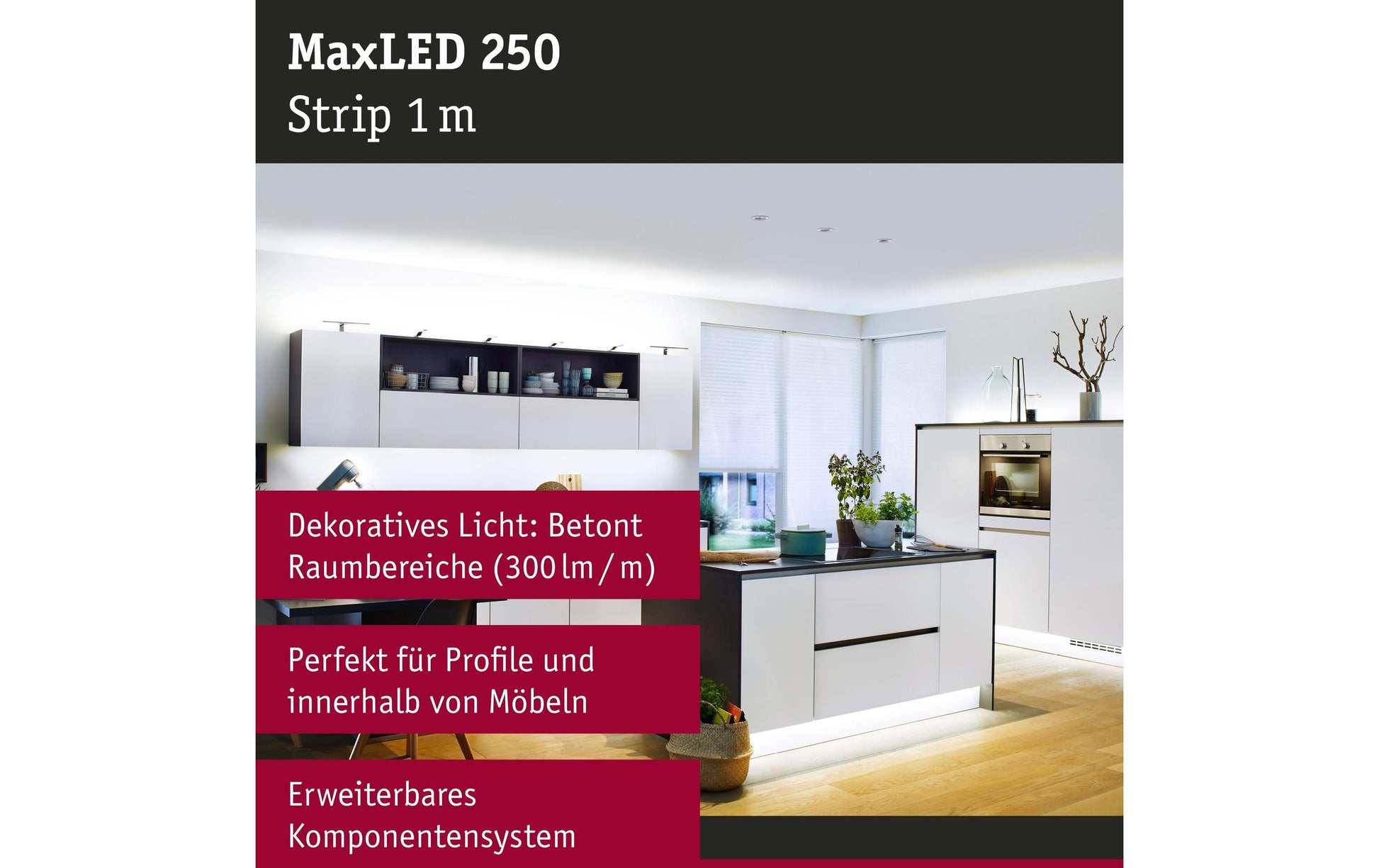 Paulmann LED-Strip 1 m – Kaltweiss 6500 K, 300 lm, 4 W, IP20 – 1 Stk.