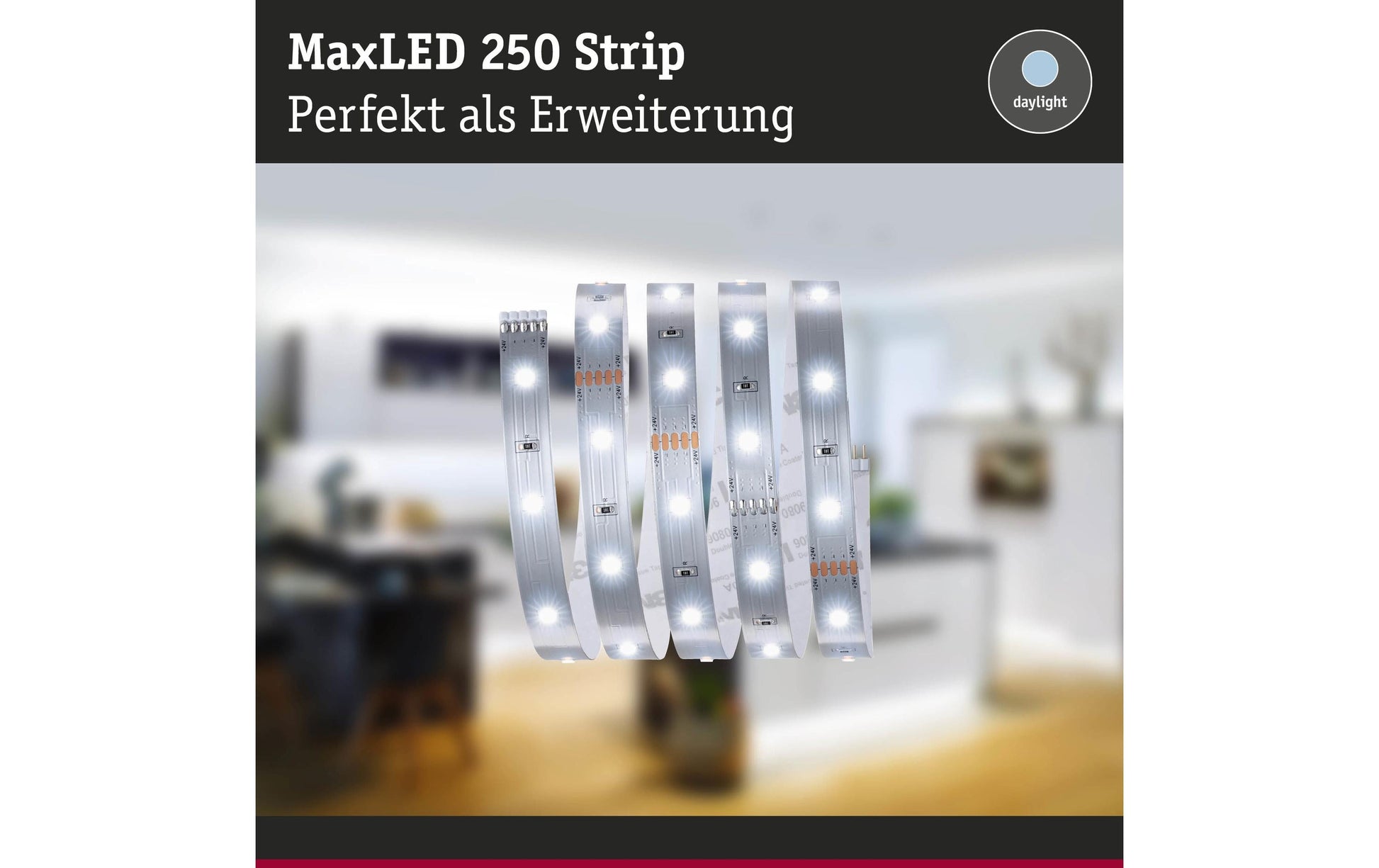 Paulmann LED-Strip 1 m – Kaltweiss 6500 K, 300 lm, 4 W, IP20 – 1 Stk.