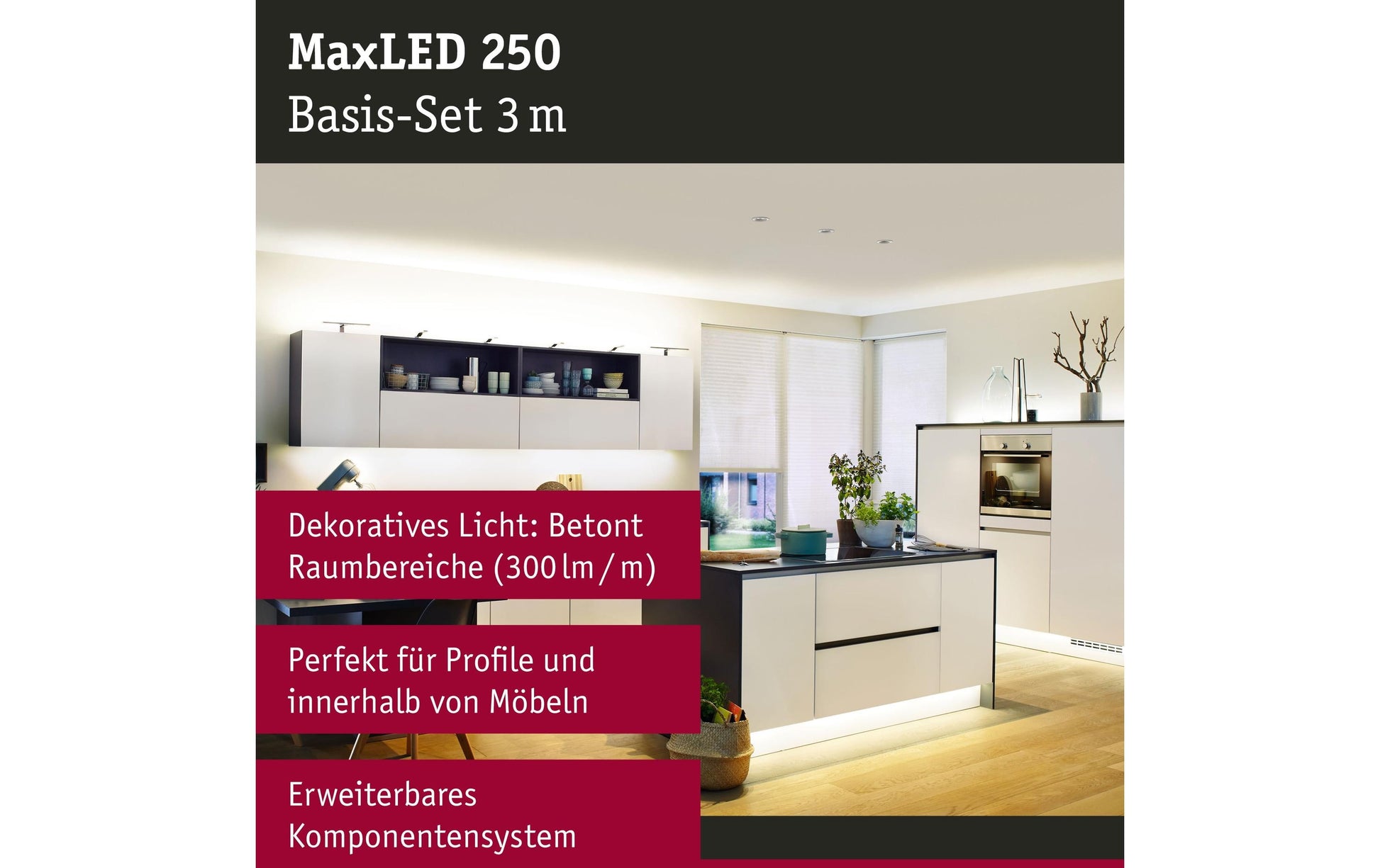 Paulmann LED-Strip MaxLED 250 – Set, 3 m, 900 lm, 12 W, 2700 K, dimmbar, weiss, inkl. Netzteil
