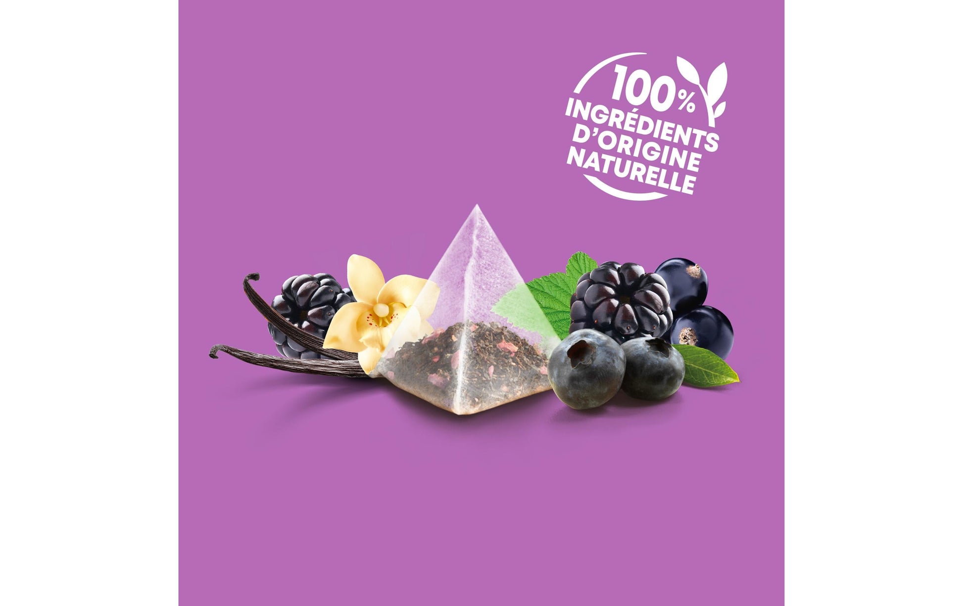 Eléphant Früchtetee Heidelbeere & Brombeere & Schwarze Johannisbeere – Teebeutel 20 Beutel