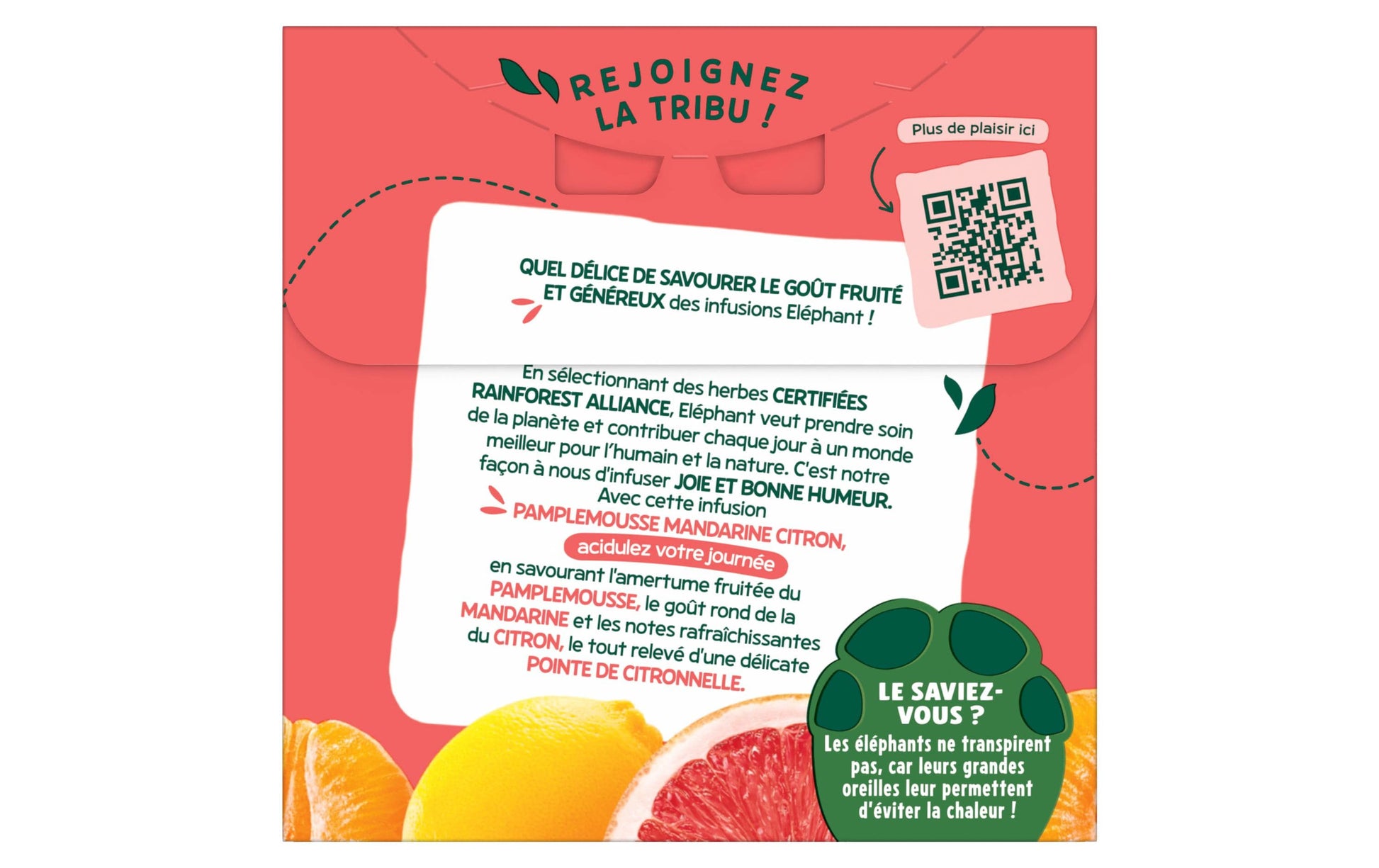 Eléphant Früchtetee Grapefruit, Mandarine & Zitrone – Teebeutel 20 Beutel