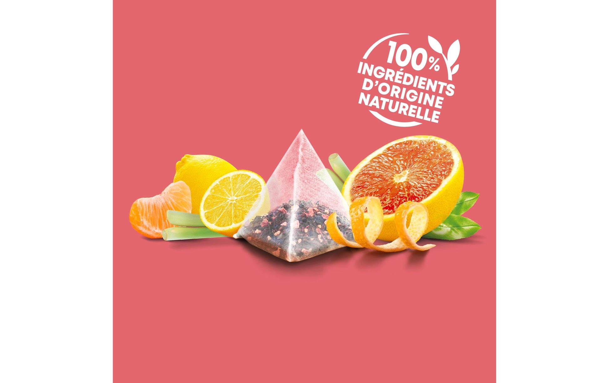 Eléphant Früchtetee Grapefruit, Mandarine & Zitrone – Teebeutel 20 Beutel