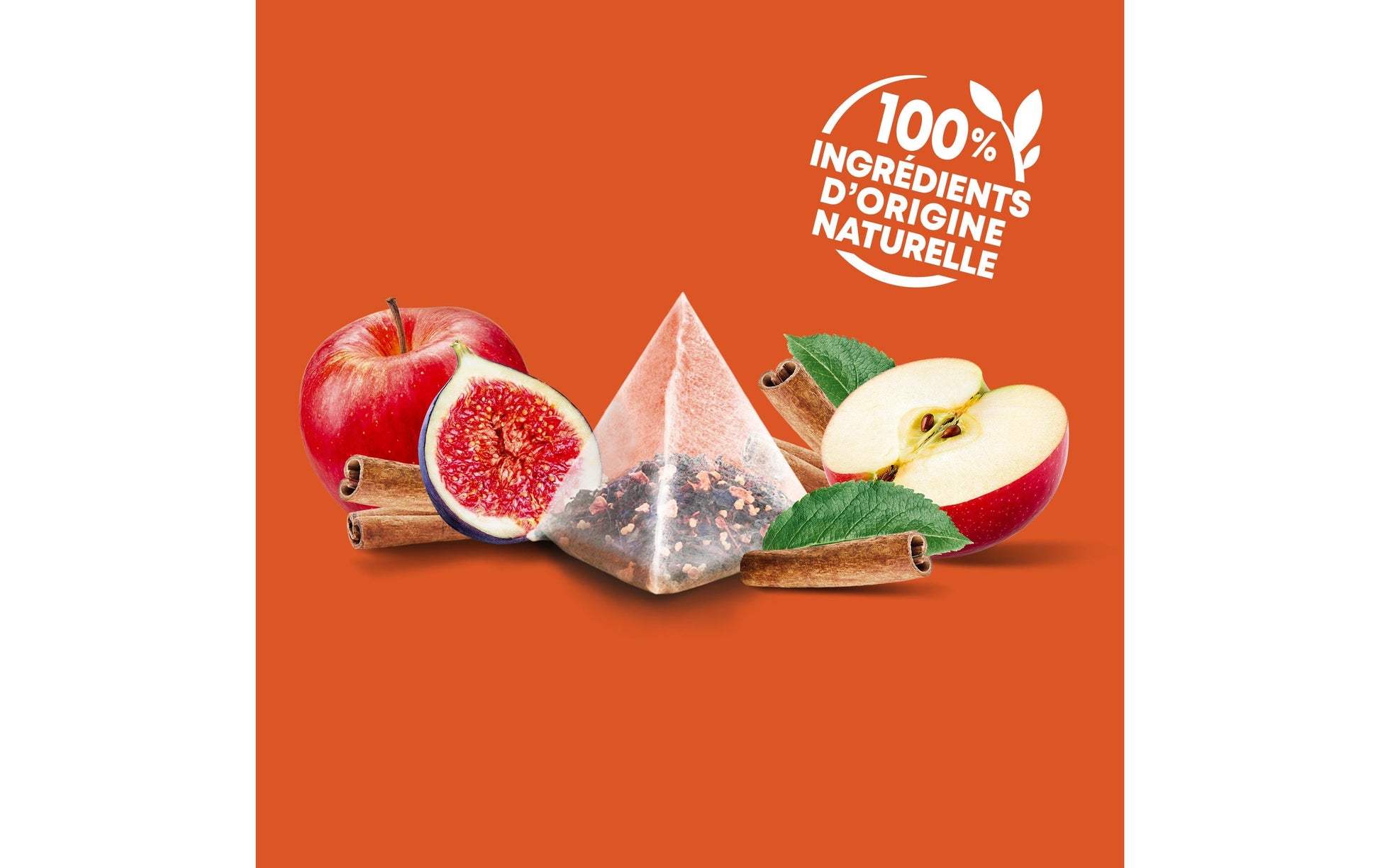Eléphant Früchtetee Apfel & Zimt – Teebeutel 30 Beutel
