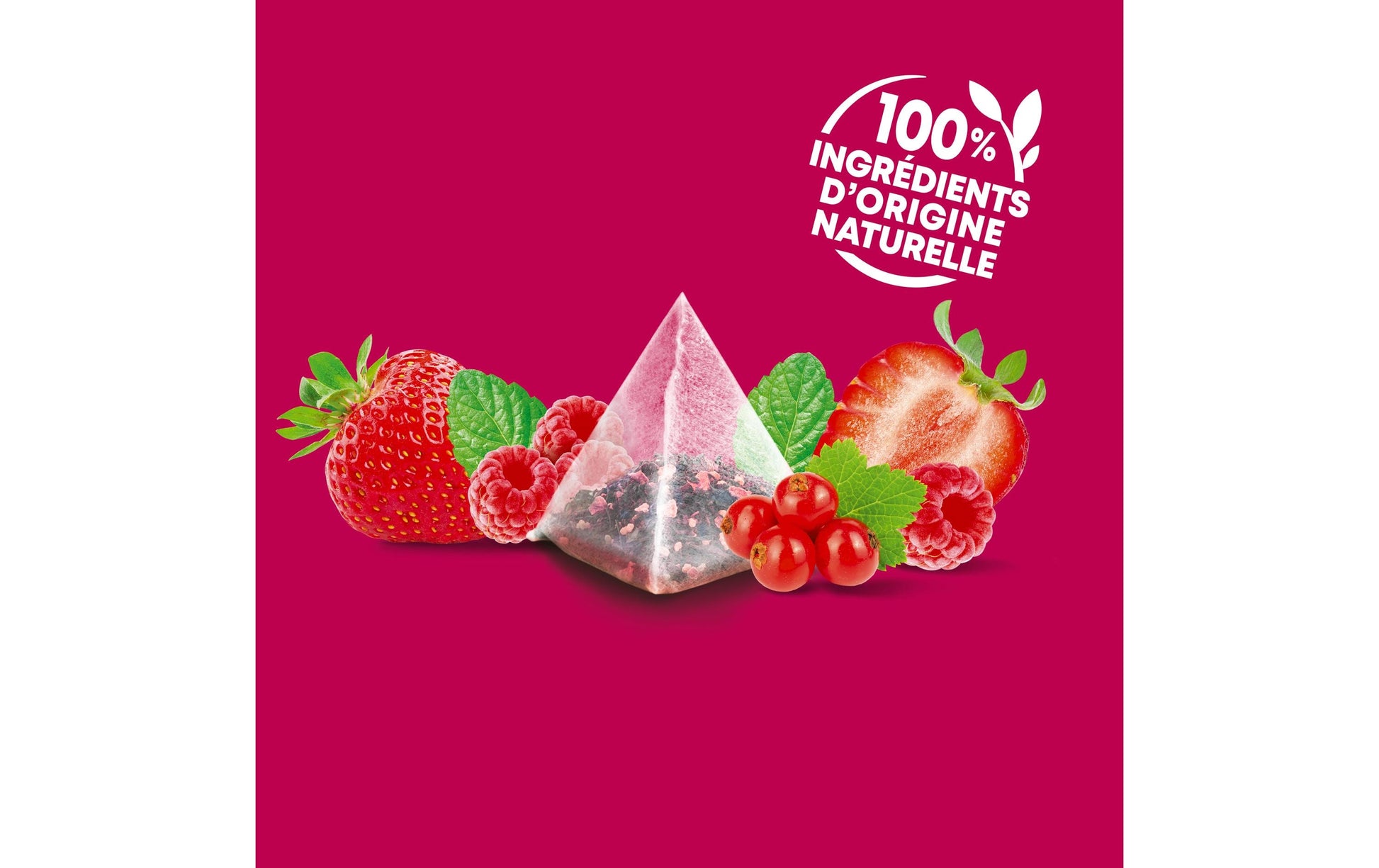 Eléphant Früchtetee Rote Früchte – Teebeutel 20 Beutel