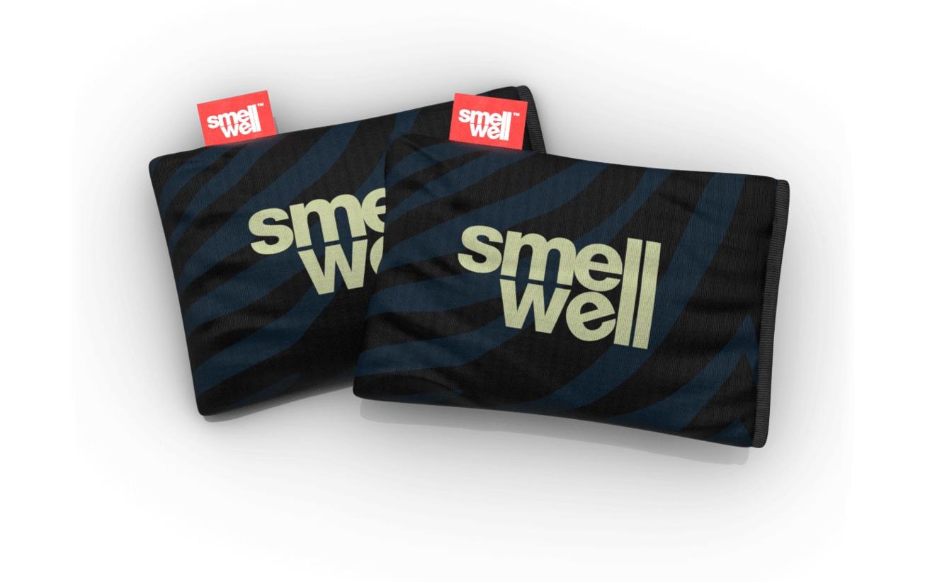 SmellWell Active – Geruchsneutralisator, 2er-Pack