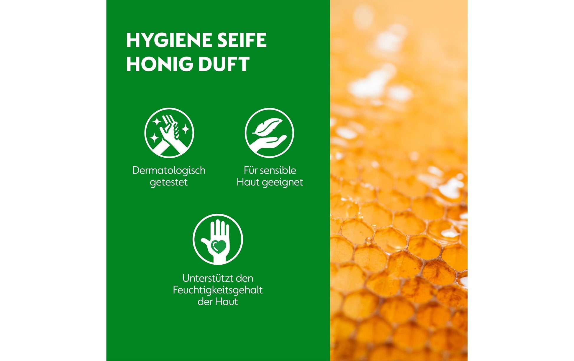 Dettol Flüssige Handseife – Honig – Nachfüllbeutel – 250 ml