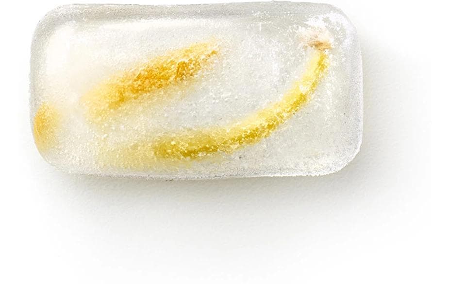 Lékué Rechteckige Eiswürfelform – 12 × 23 × 3,2 cm, Kunststoff (SBS), Türkis, 14 Eiswürfel, mit Deckel