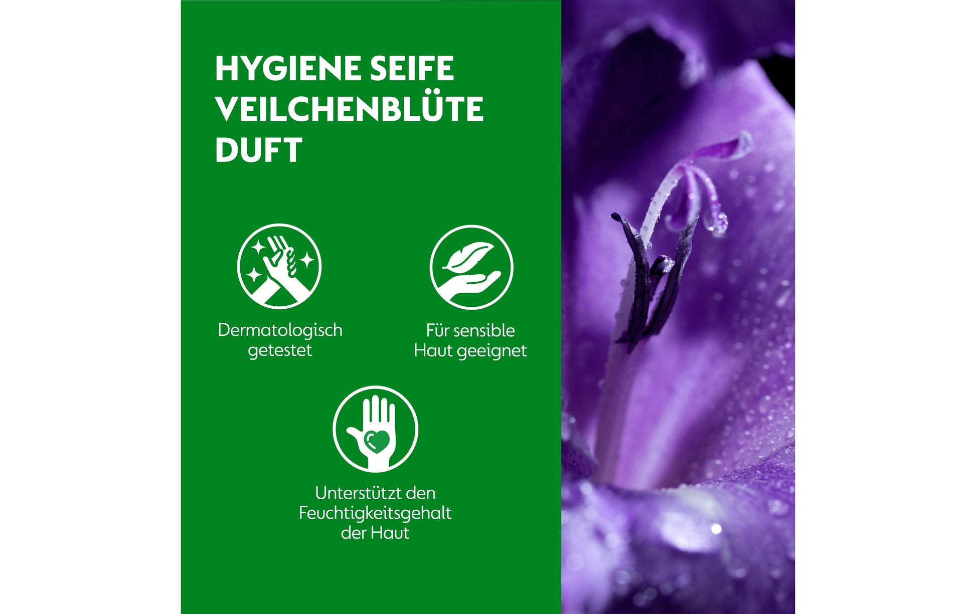 Dettol Flüssige Handseife – Veilchen – Nachfüllbeutel – 250 ml