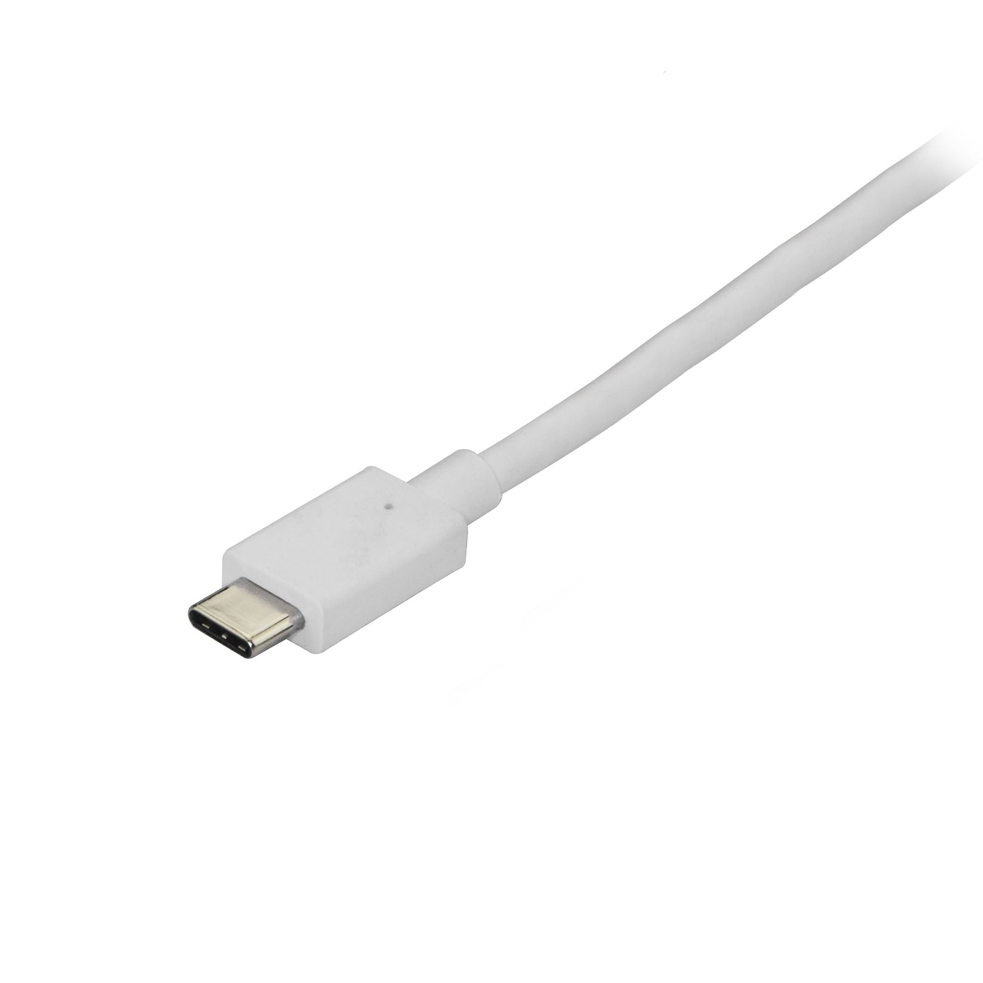 StarTech.com USB-C auf DisplayPort Adapter – 1,8 m