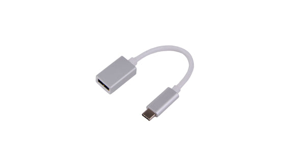 LMP 16089 Adapter USB-C zu USB-A – USB 3.2 Gen 1 (5 Gbit/s), 0,15 m, für MacBook/MacBook Pro (Auswahl), Silber