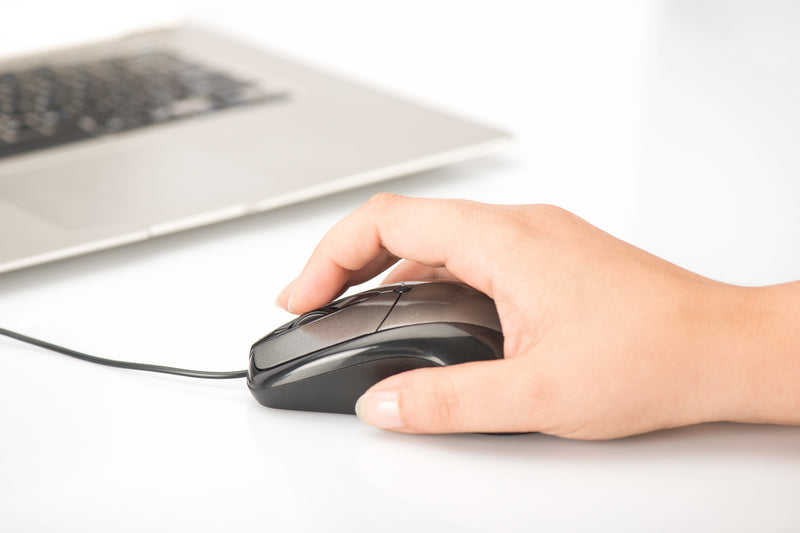 Ednet Office Maus – 3 Tasten, Scrollrad