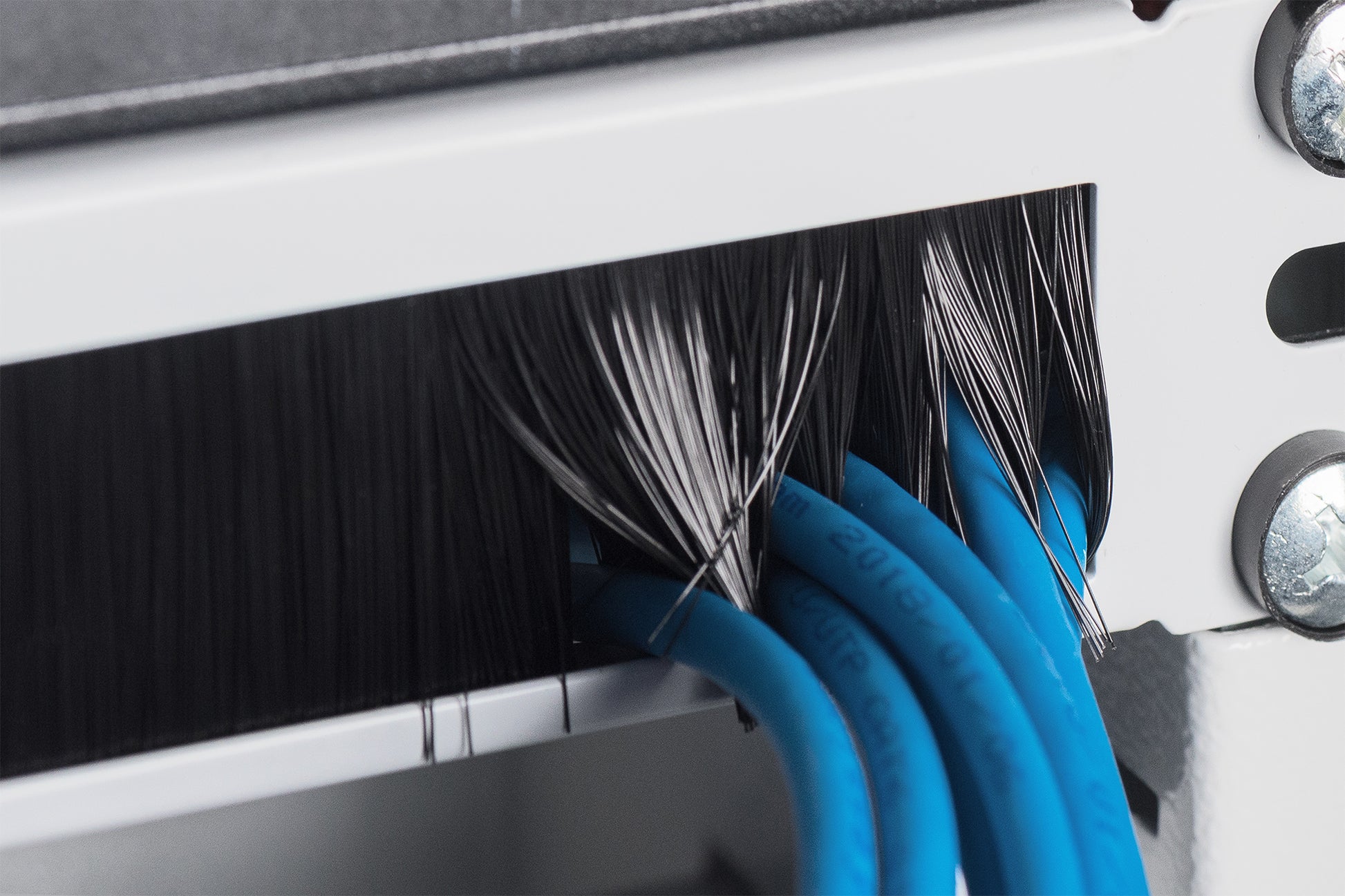 Digitus Kabelbürstenleiste – für 483 mm (19") Schränke, Grau, 1 Stück