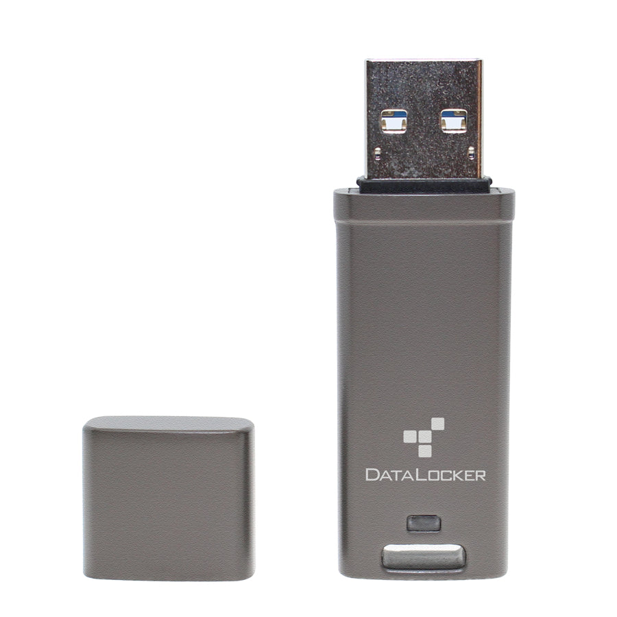 DataLocker DL GO USB-Stick 16 GB – USB-A 3.2 Gen 2, 160/120 MB/s, AES-256, FIPS 197, IP68, mit Kappe, Grau