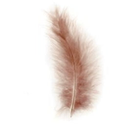 GLOREX Marabu-Federn, Braun, 2 g, 15 Stk.
