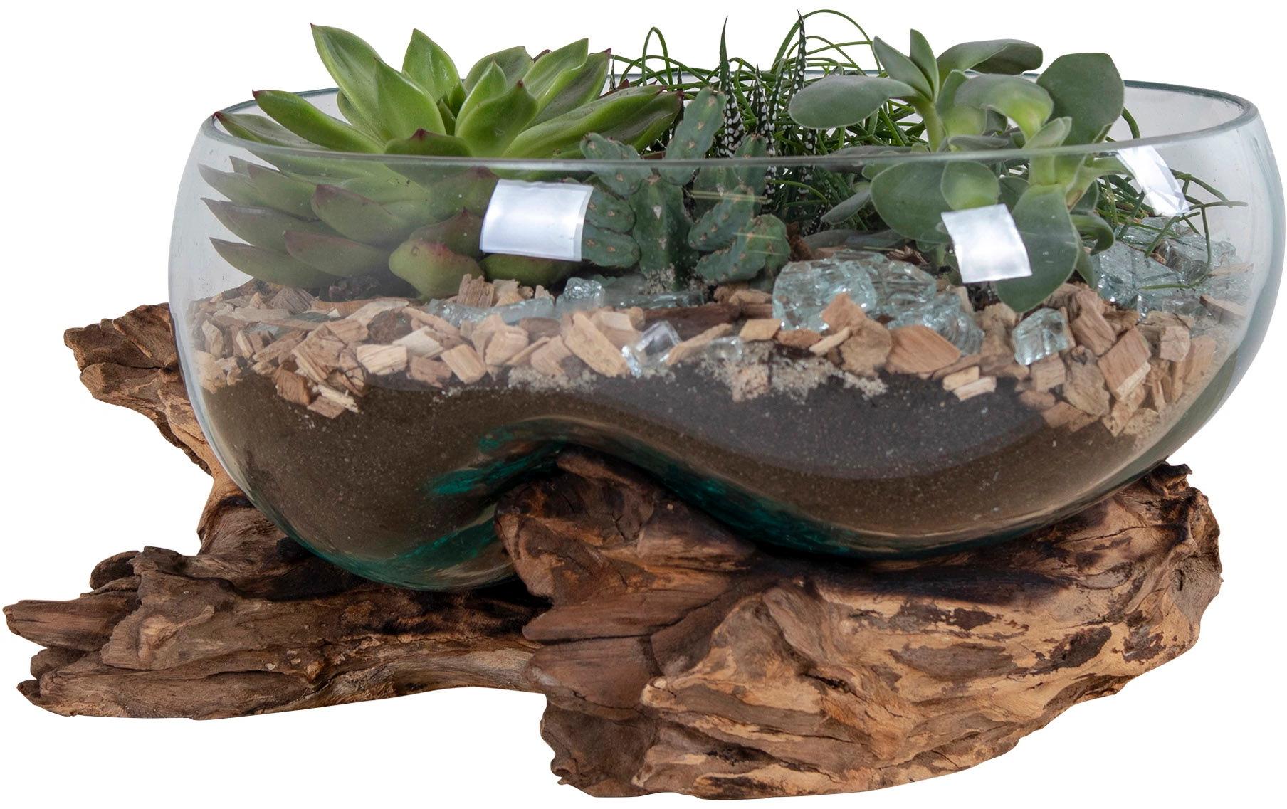 House Nordic Schale – Teakholz & Glas & Stahl, natur – Ø 26 × 20 cm