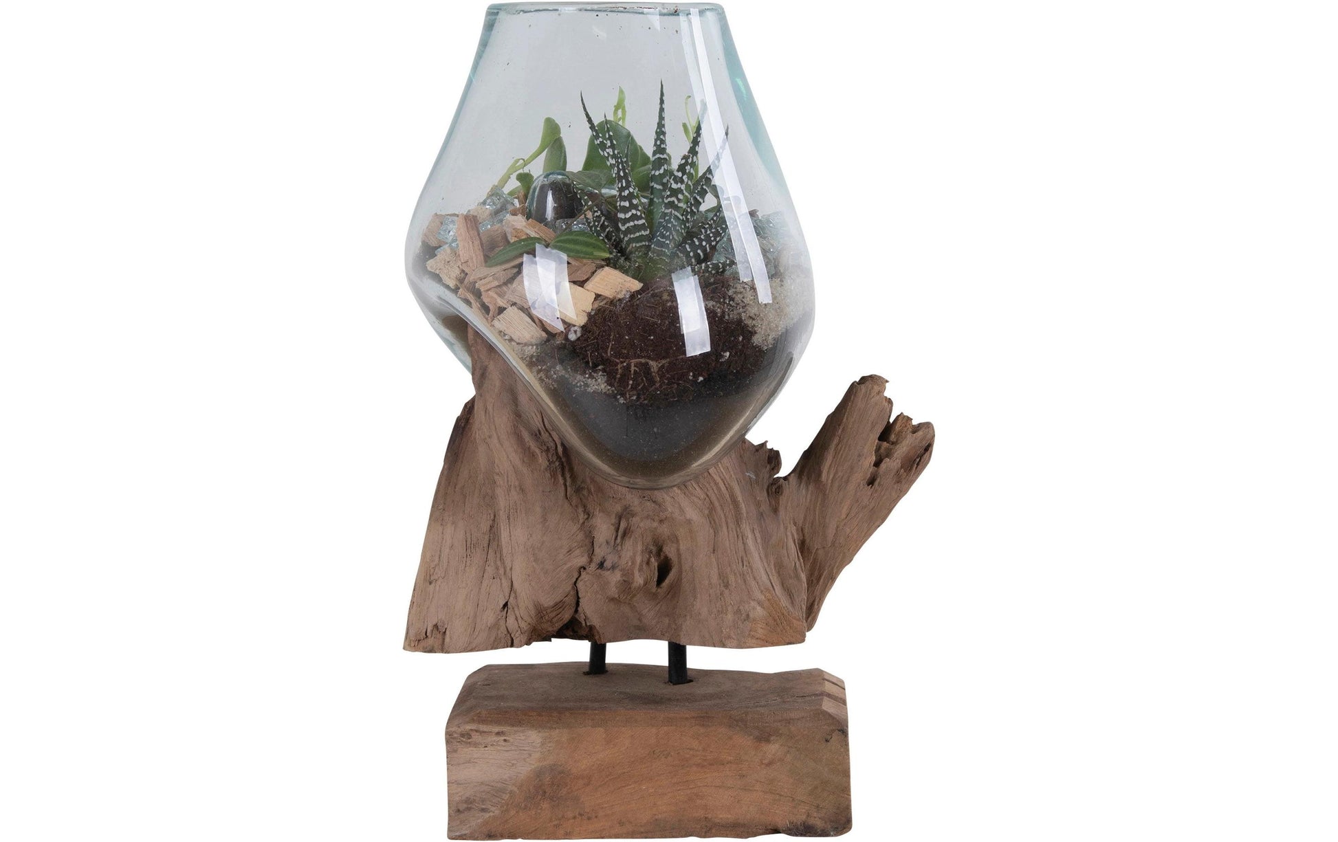 House Nordic Schale – mit Kunstpflanzen – Glas & Stahl & Teak, natur – 18 × 15 × 25 cm