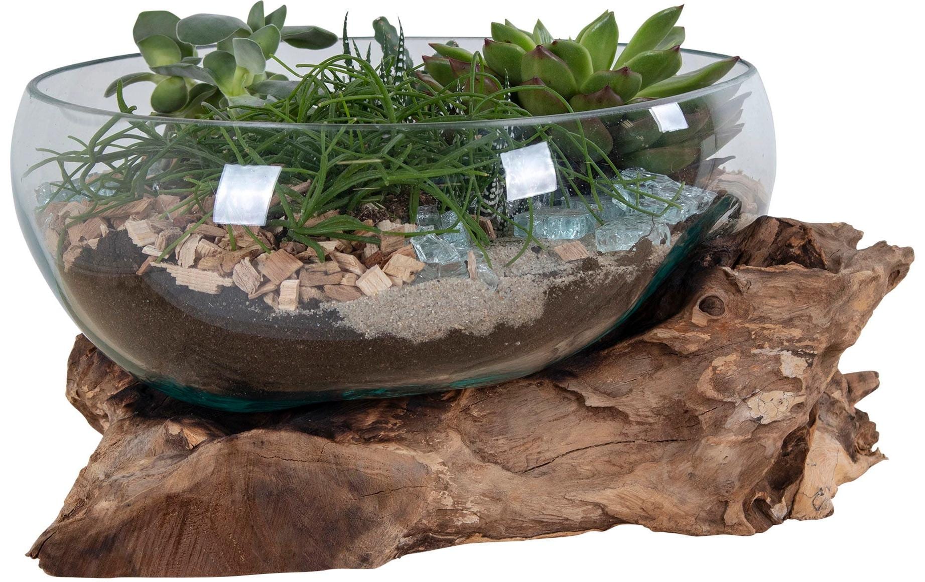 House Nordic Schale – Teakholz & Glas & Stahl, natur – Ø 26 × 20 cm