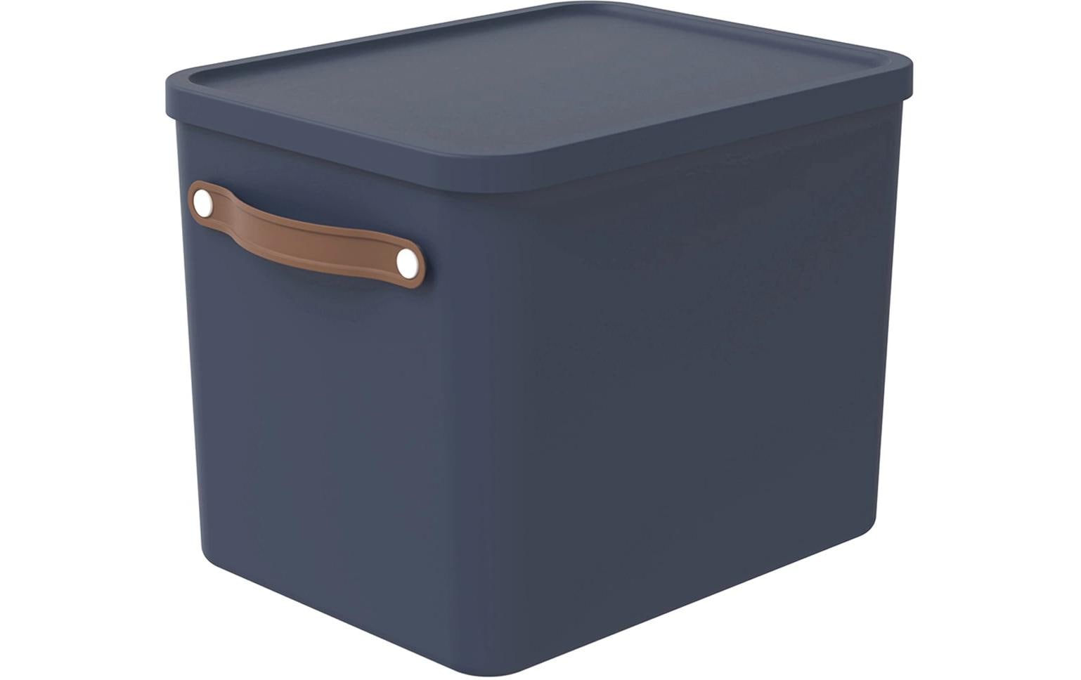 Rotho MALOJA Aufbewahrungsbox 27 l (mit Deckel) – Kunststoff – Blau – 290 × 295 × 400 mm