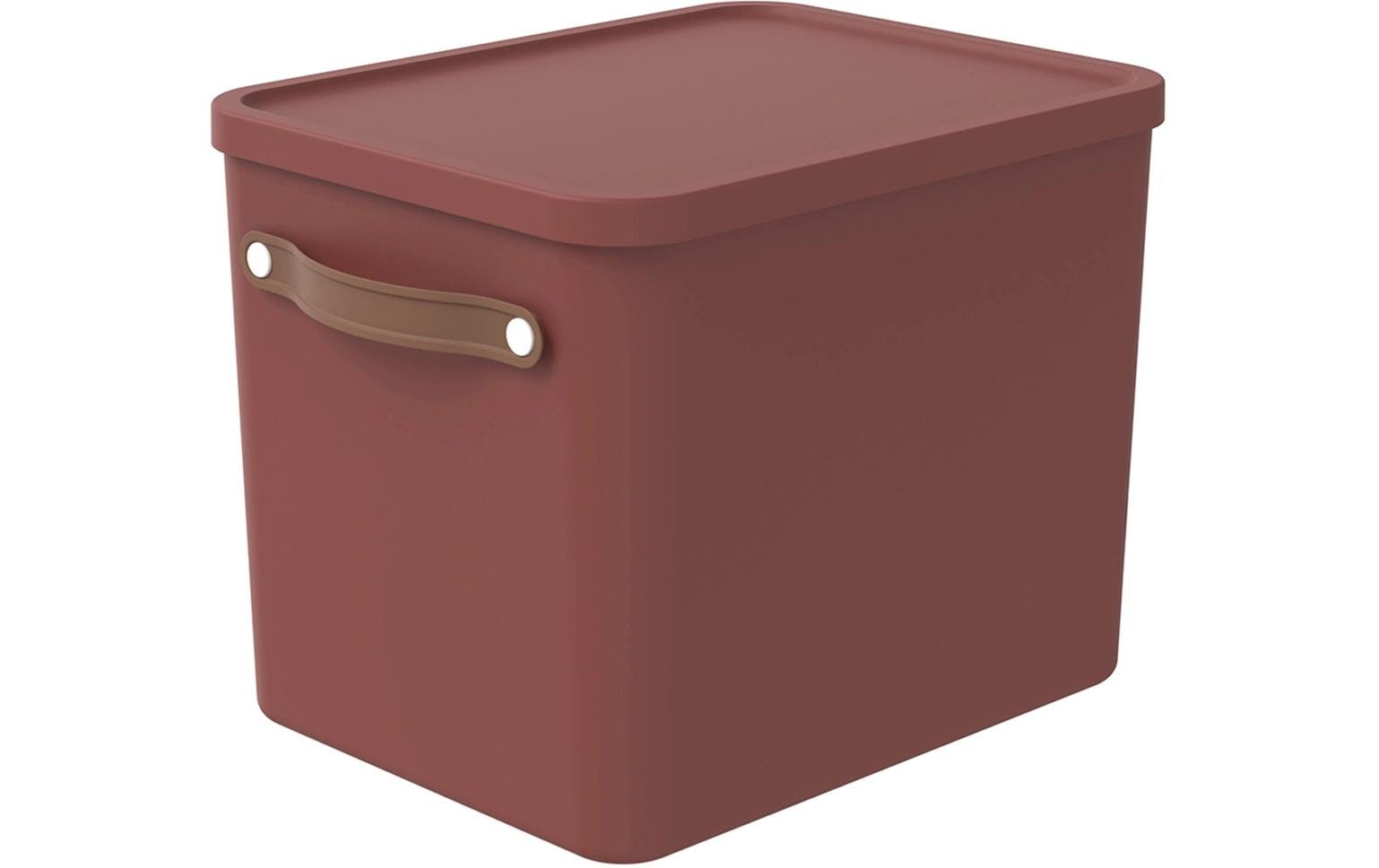 Rotho MALOJA Aufbewahrungsbox 27 l (mit Deckel) – Kunststoff – Dunkelbraun (mit Griff) – 290 × 295 × 400 mm