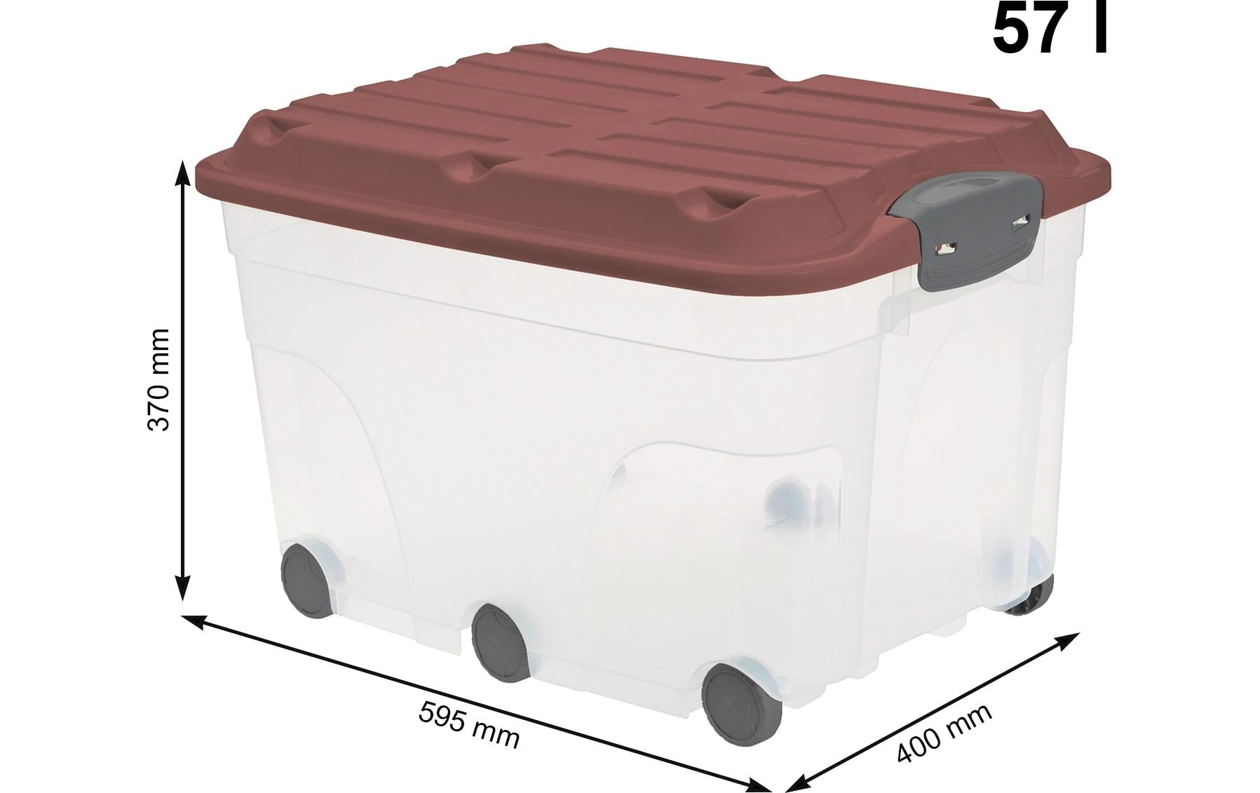 Rotho Aufbewahrungsbox – Polypropylen, Transparent, 40 × 37 × 59,5 cm – 2er-Pack