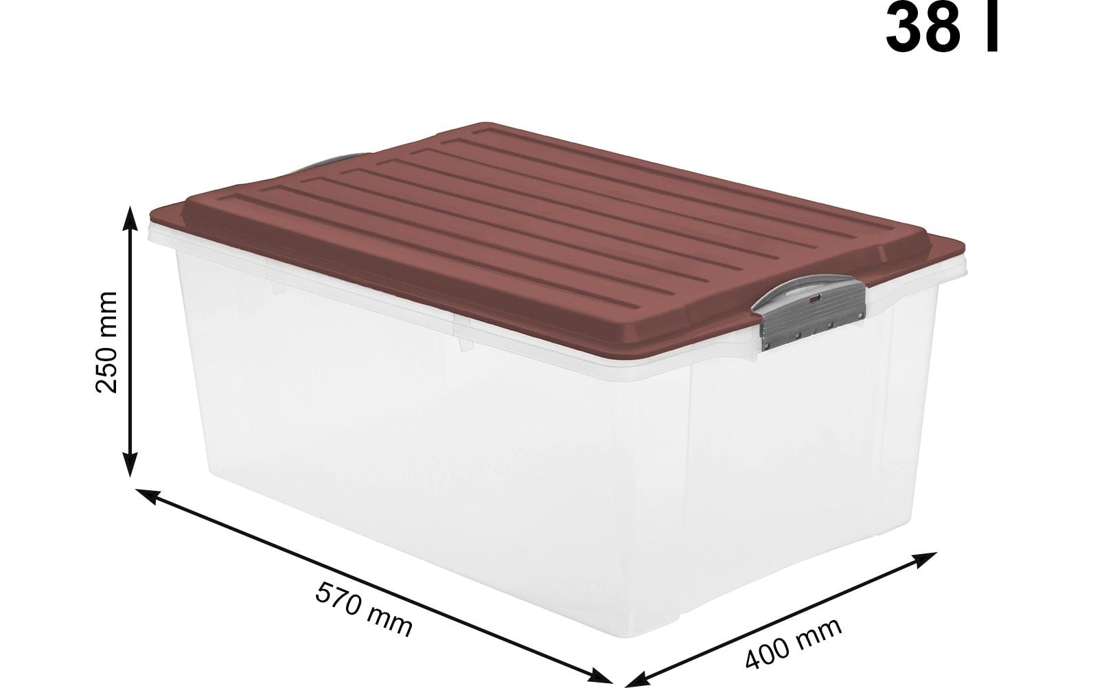 Rotho Aufbewahrungsbox – Kunststoff, Transparent, 40 × 18 × 57 cm – 3er-Pack